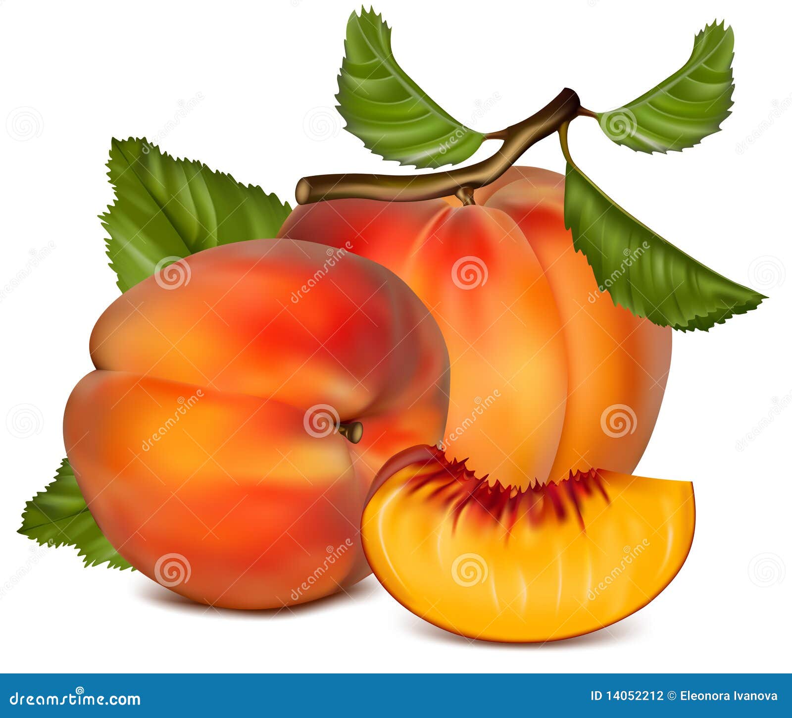 Ripe Peach Fruit with Green Leaves. Stock Vector Illustration of