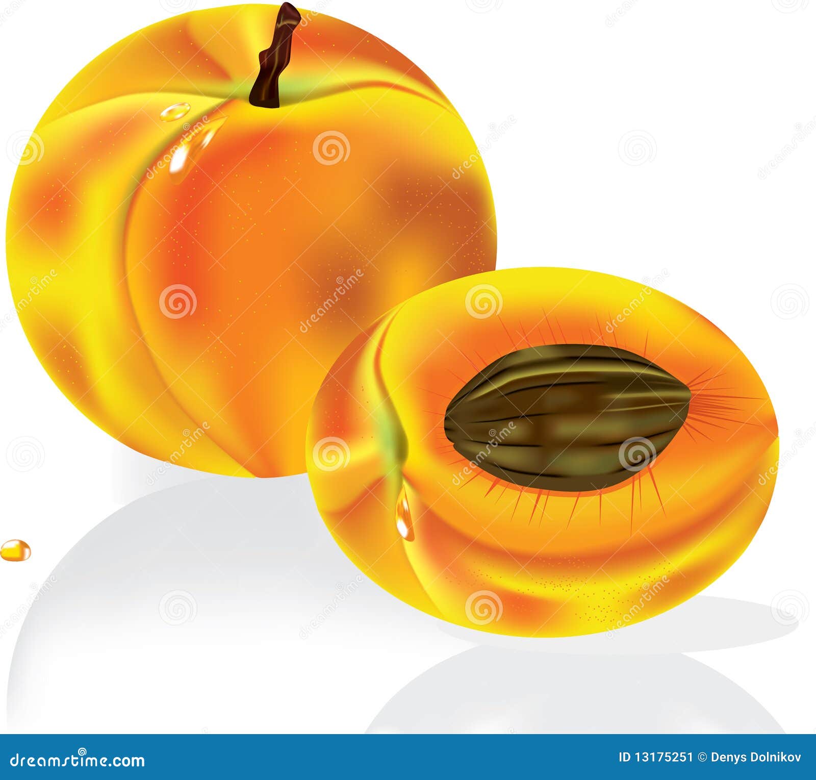 Ripe Peach Fruit with Water Drop Stock Vector Illustration of kitchen