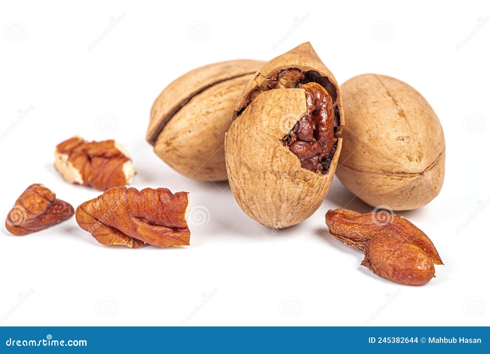 Ripe Pecans with Shells on a White Background Stock Photo Image of