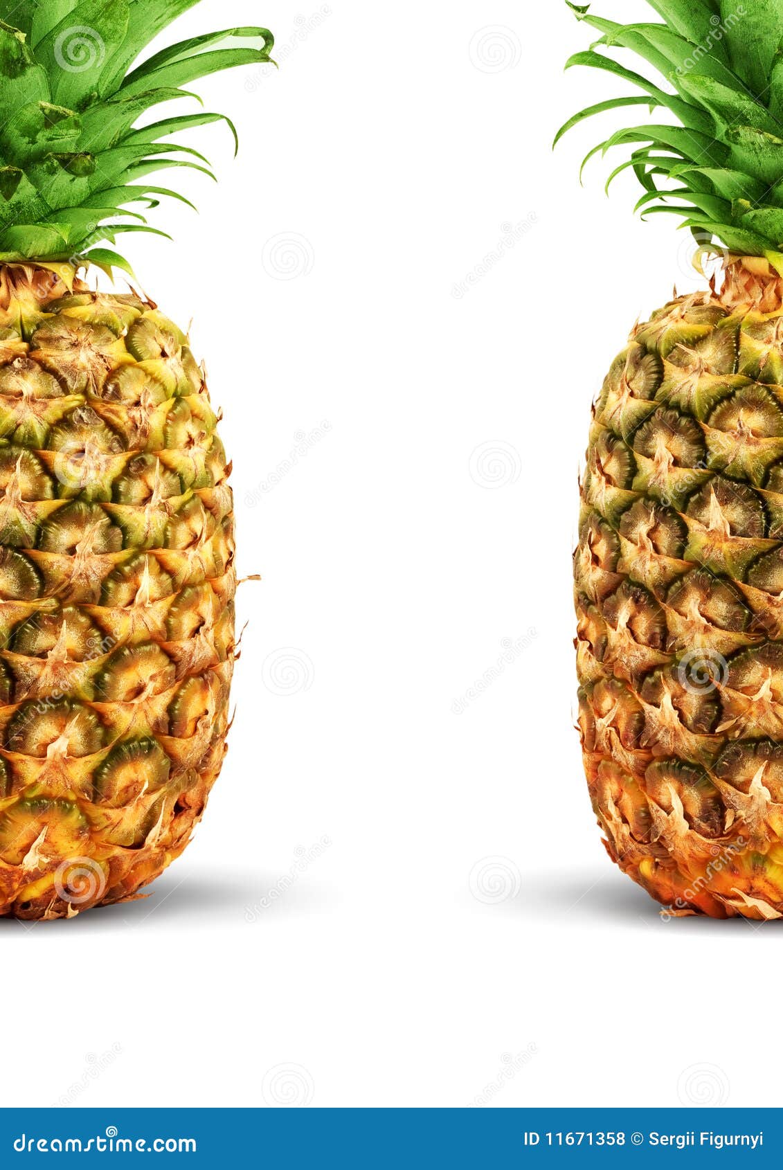 Ripe pineapple stock photo. Image of nature, food, leaf 11671358