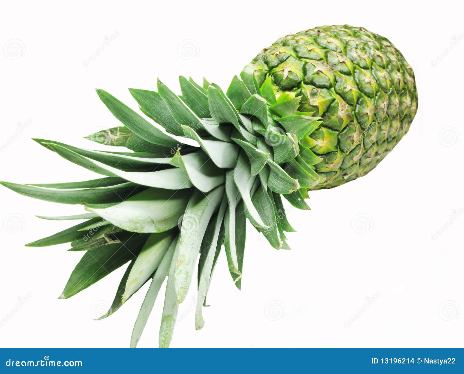Ripe pineapple stock photo. Image of vegetarian, freshness 13196214