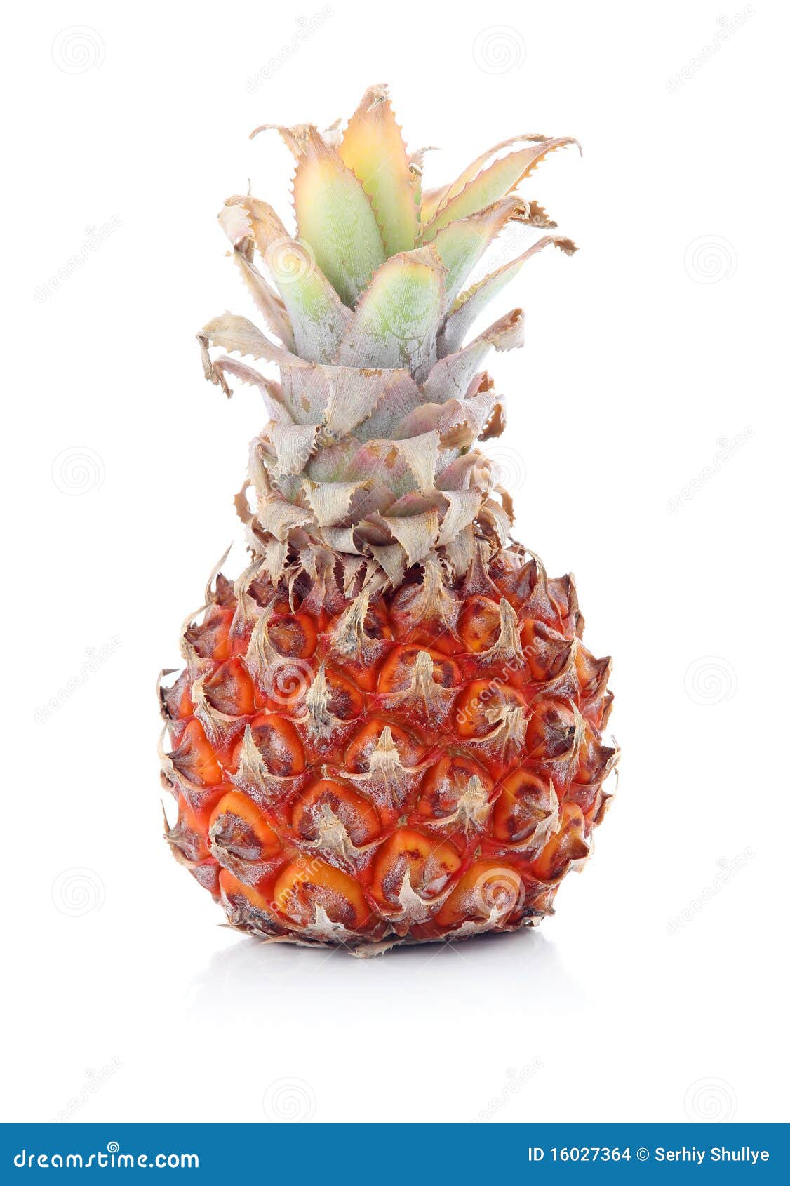 Ripe Pineapple Fruit with Green Leaves Isolated Stock Photo Image of
