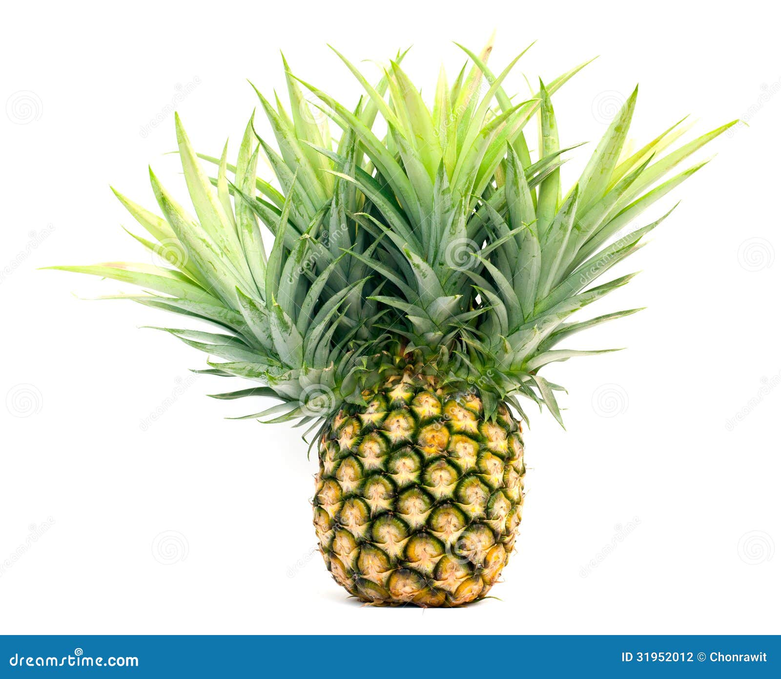 Ripe pineapple stock photo. Image of hawaiian, organic 31952012