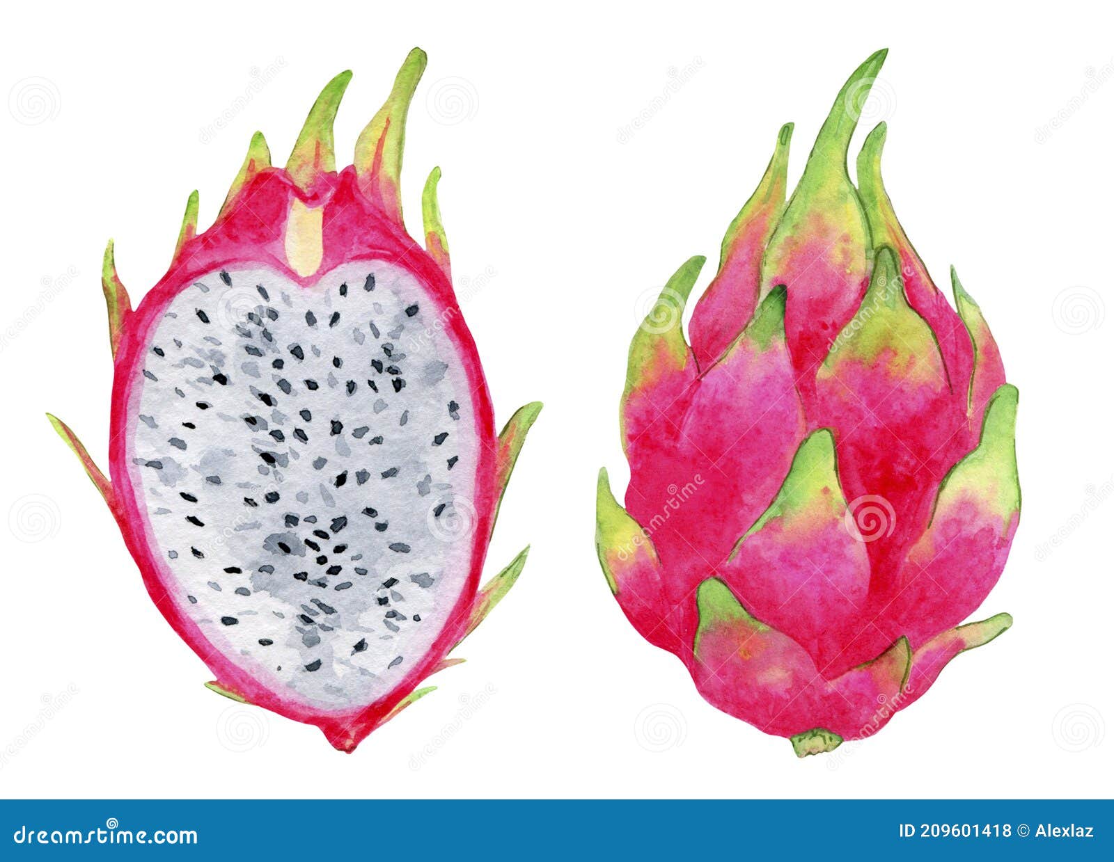 Ripe, Pink Dragon Fruit, Whole And Cut, Juicy Illustration. Stock Photo ...