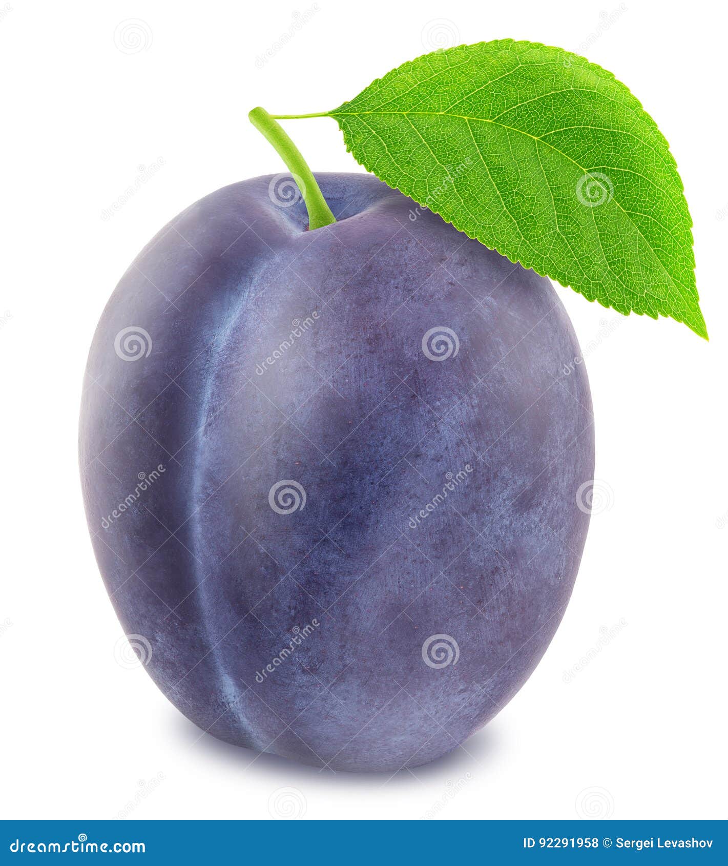 Ripe Plum with Green Leaf. with Clipping Path Stock Photo Image of