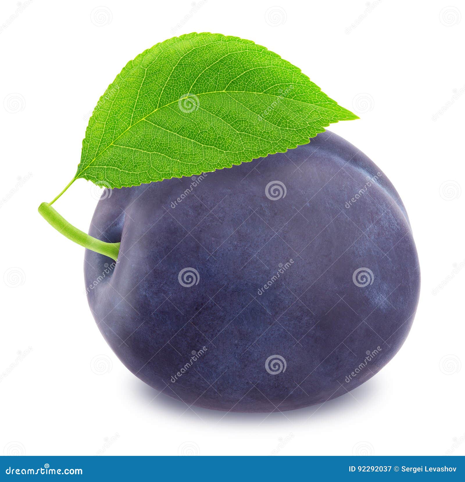 Ripe Plum with Green Leaf. with Clipping Path Stock Image Image of