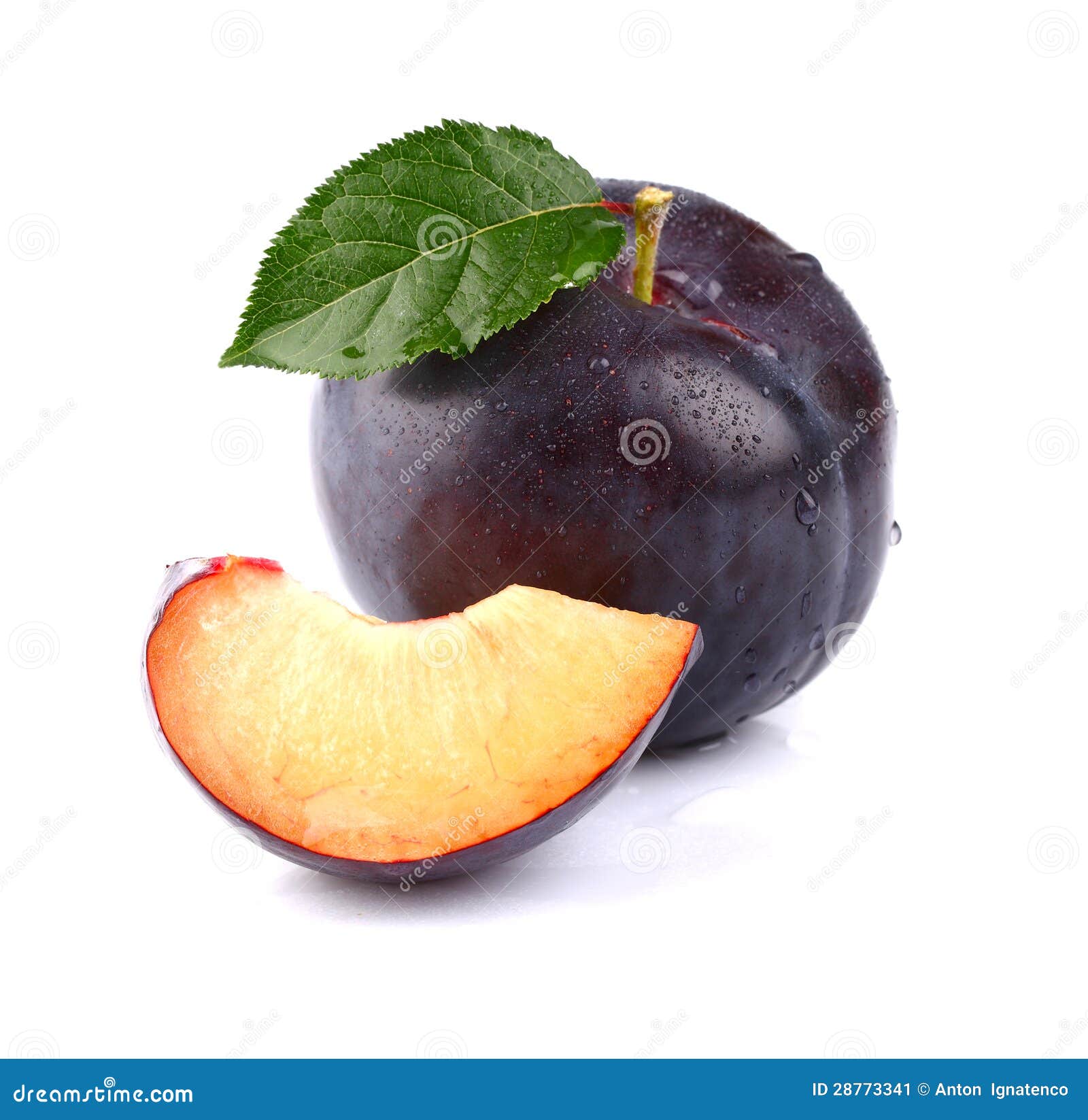 My Image 11
