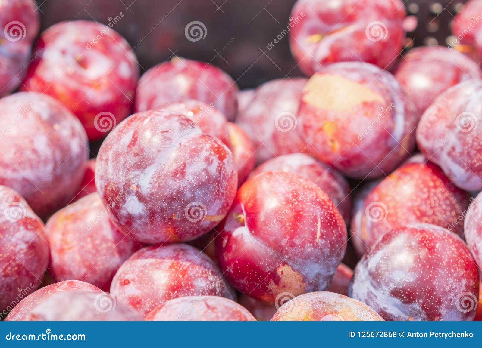 Ripe Plums on the Counter in the Store. Fresh Red Plums Stock Photo