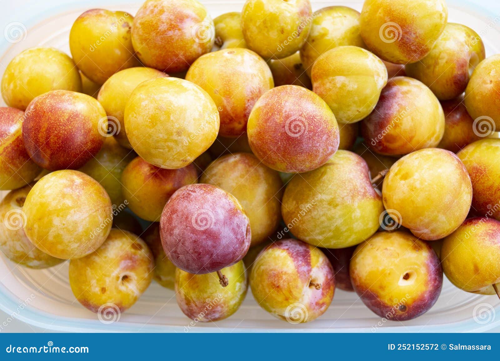 Ripe Plums in a Plastic Container Stock Photo Image of ripe, plum