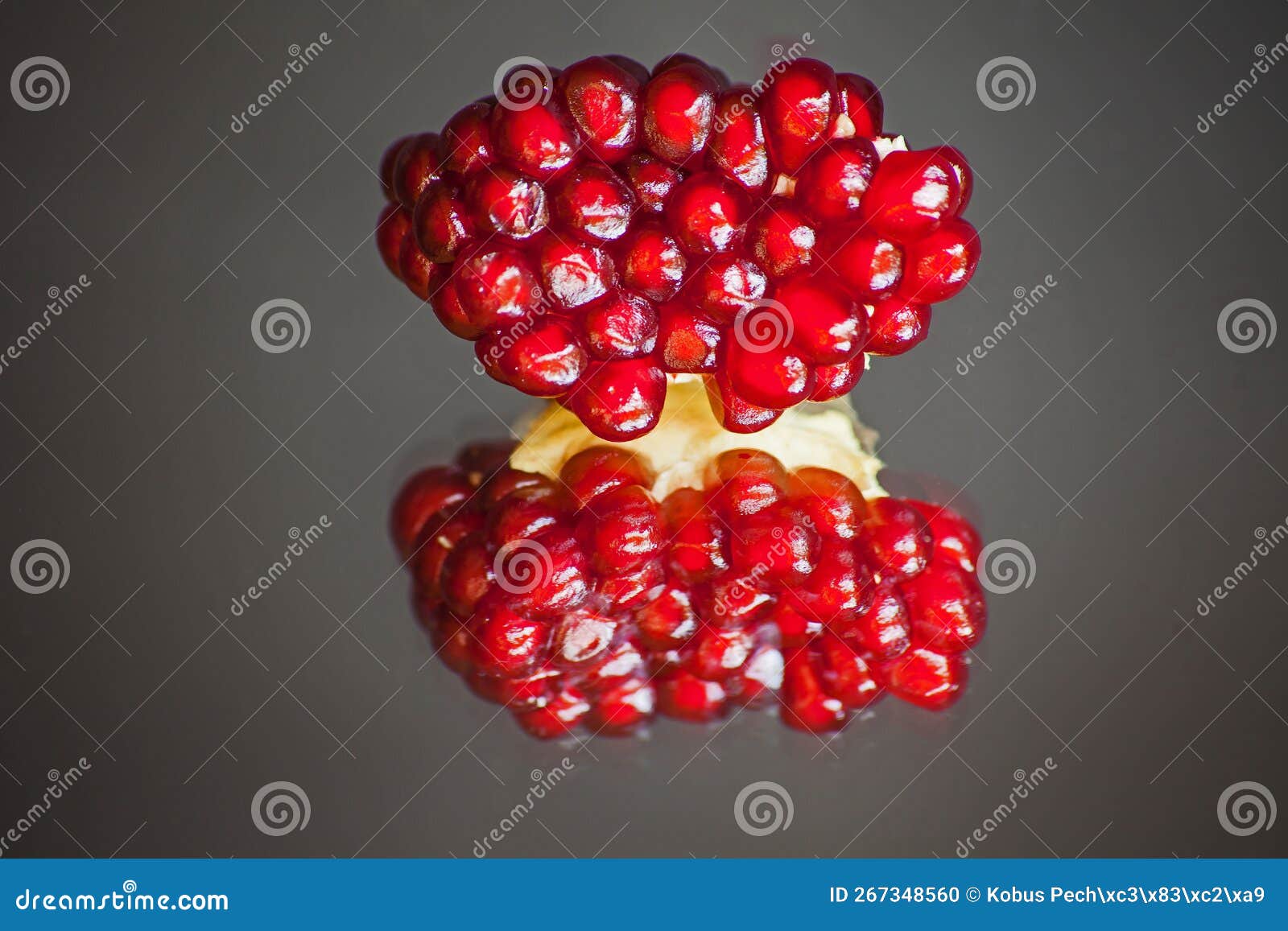 ripe pomegranate seeds reflected 10600