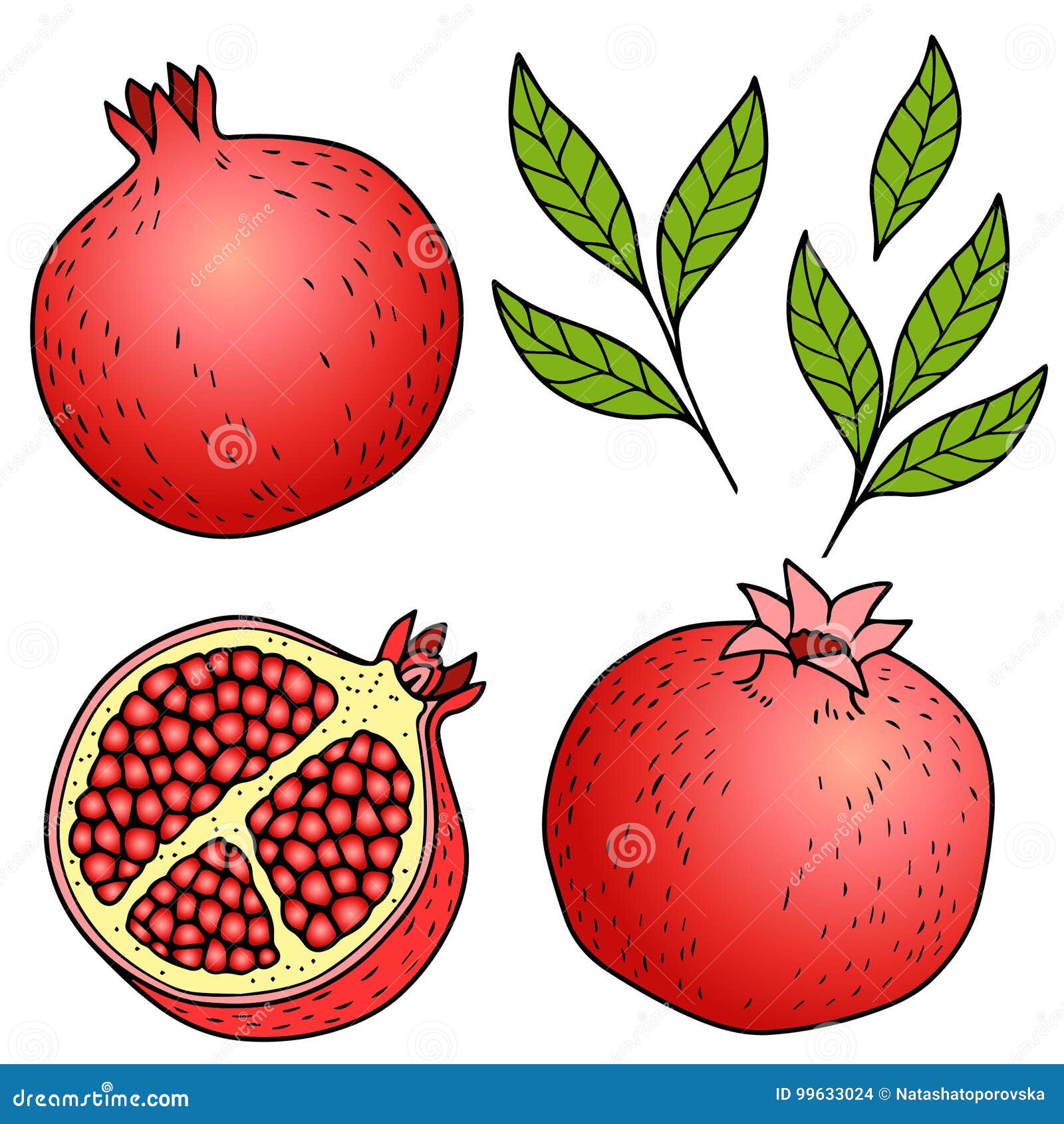 Pomegranate watercolor sketch By ShamraiWatercolorArt | TheHungryJPEG