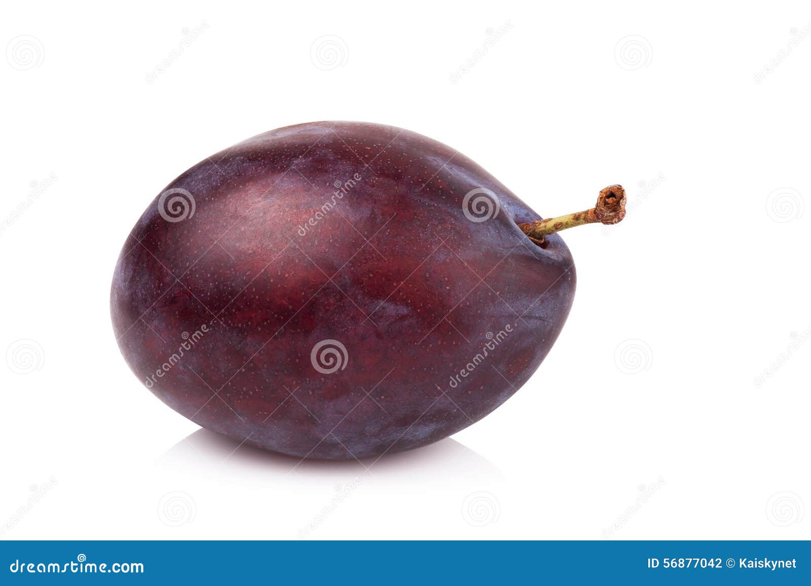 free download prune free download prune