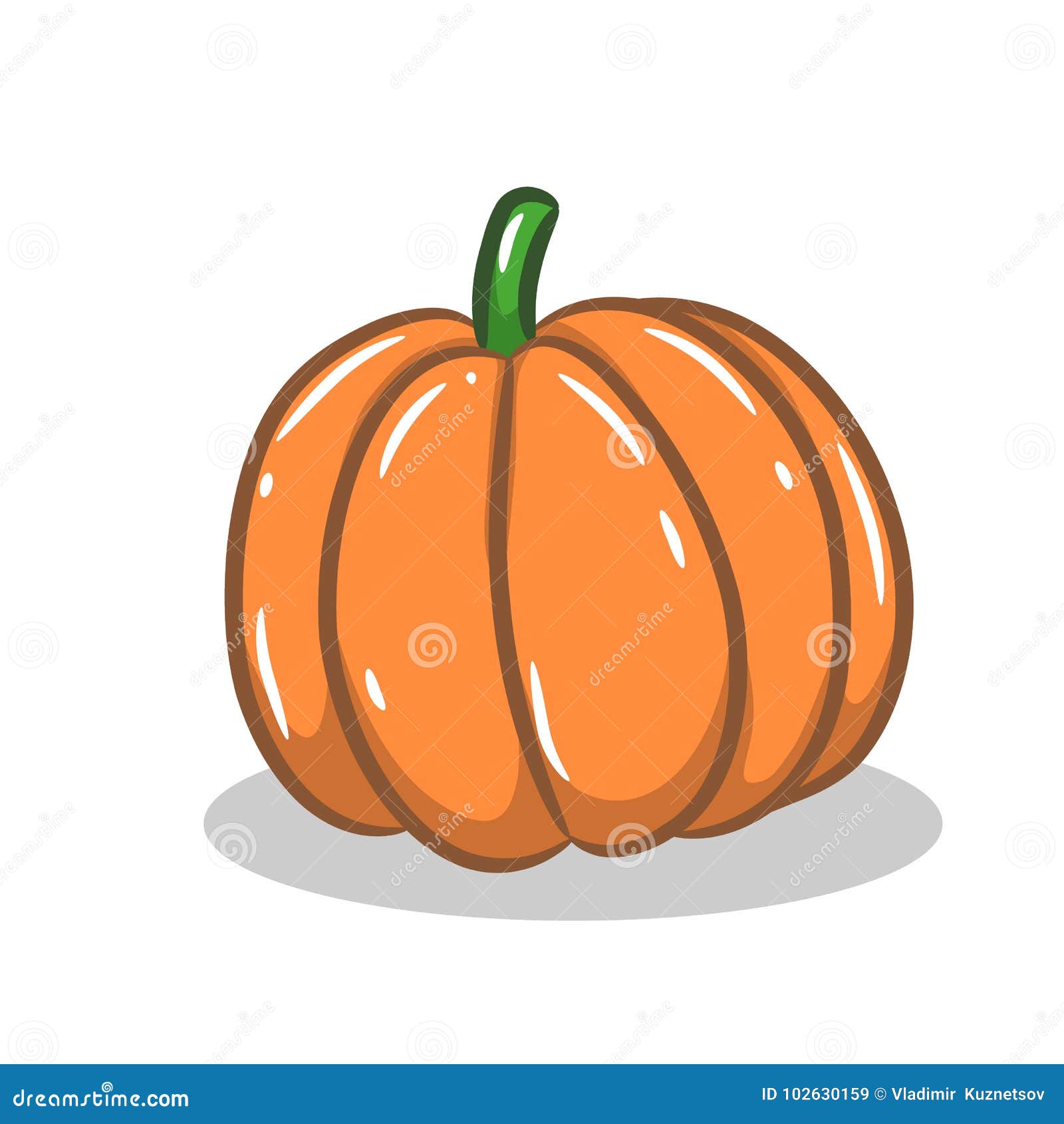 Ripe Pumpkin, Cartoon on White Background, Stock Vector - Illustration of  harvest, background: 102630159