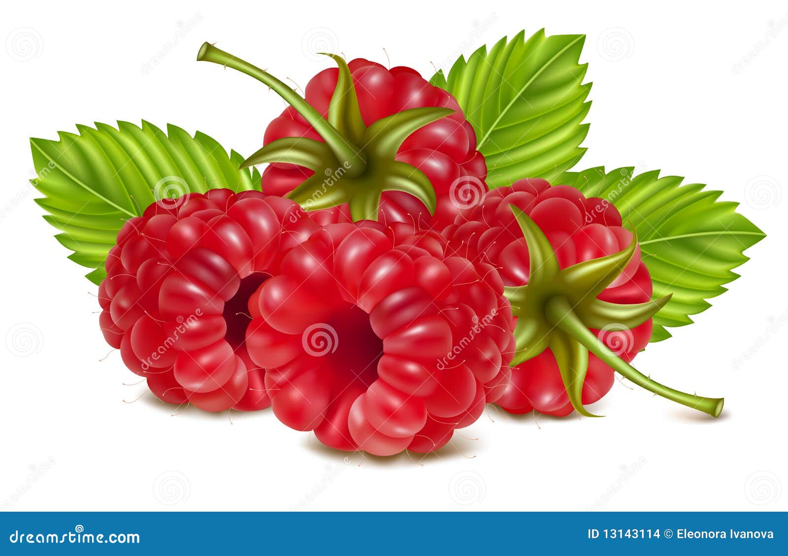 ripe raspberries.