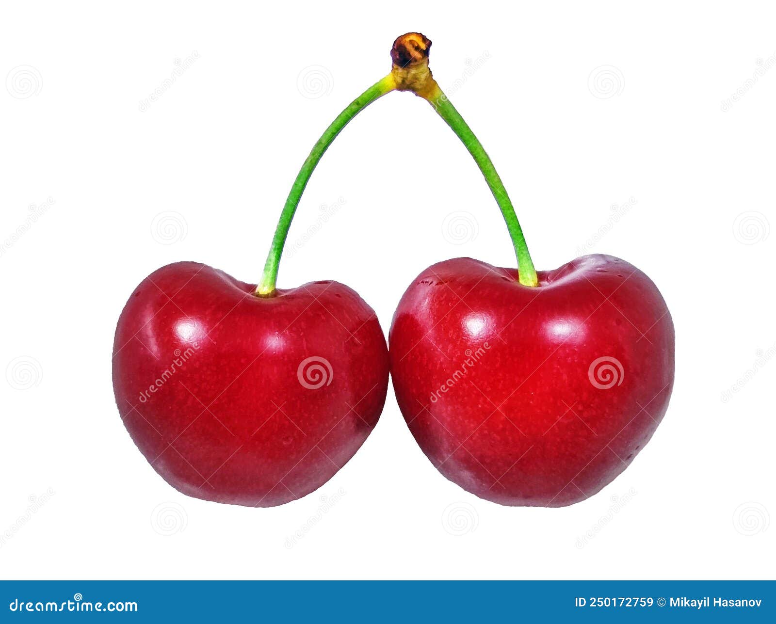 Ripe Red Cherries in Closeup on a White Background Stock Image Image