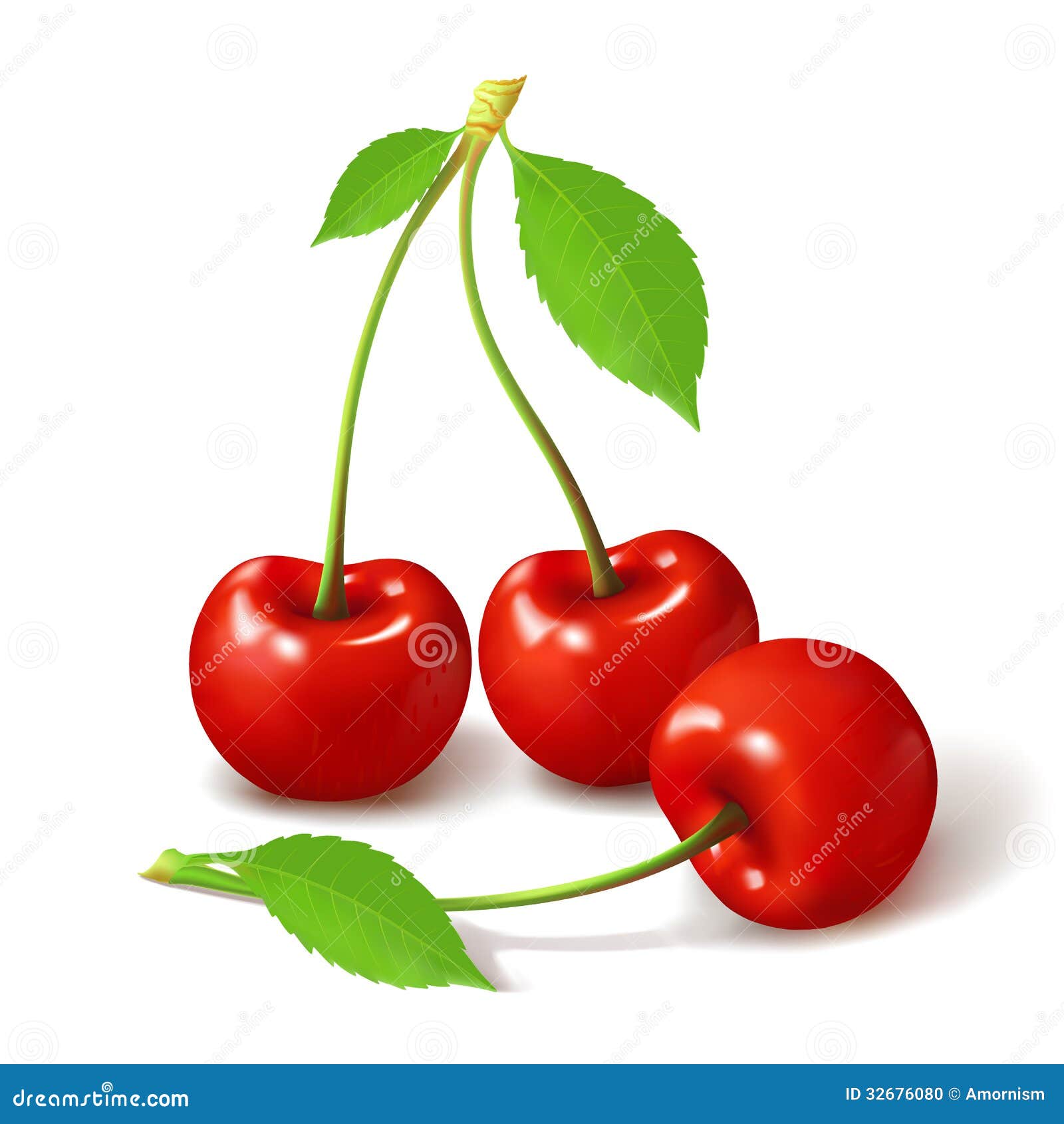 Ripe Red Cherry Berries, Vector Stock Vector ...