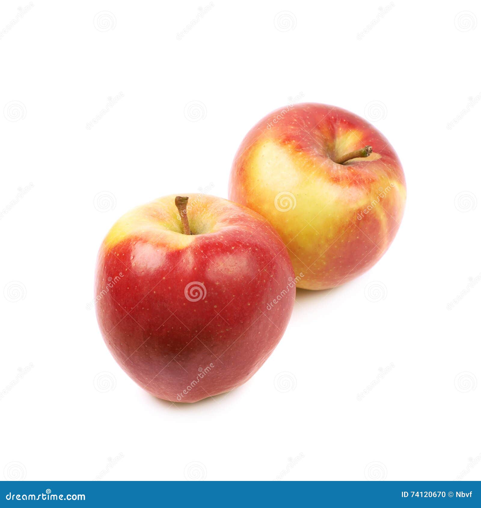 Ripe Red and Golden Jonagold Apple Stock Photo Image of macro