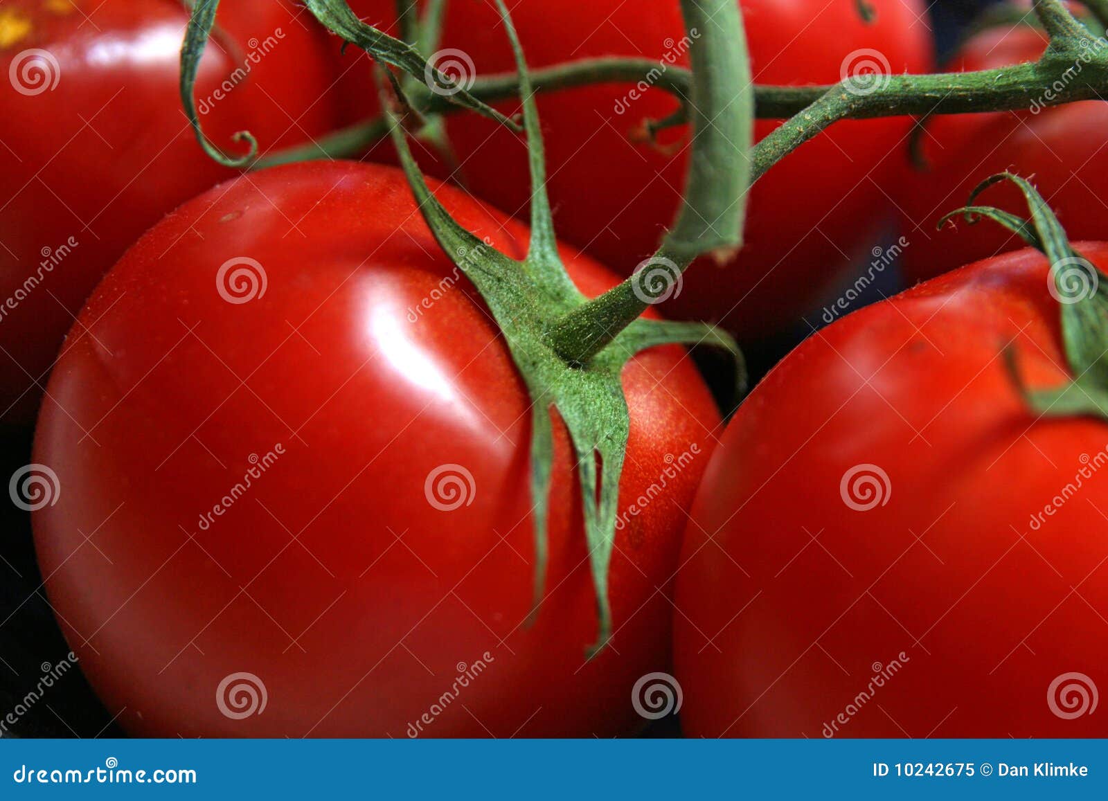 ripe red tomatos