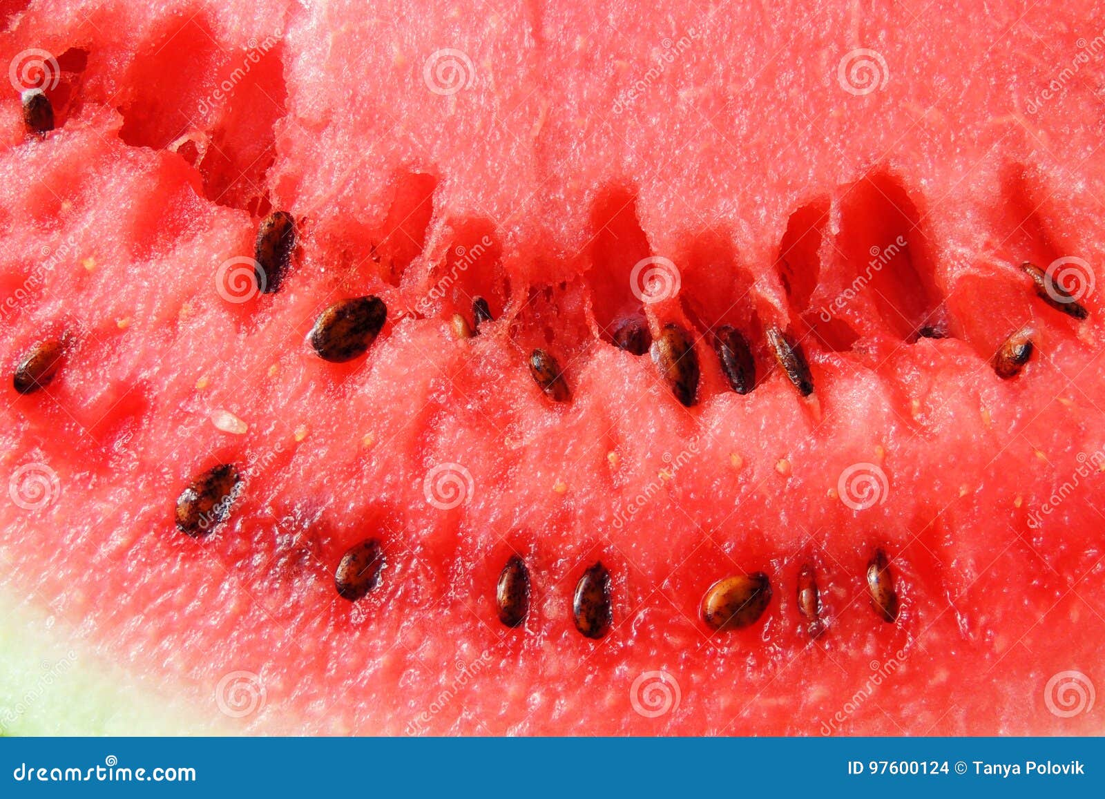 Ripe red watermelon stock photo. Image of melon, ripe 97600124