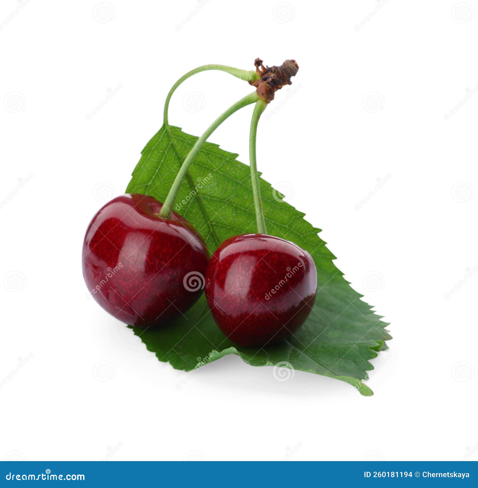 Ripe Sweet Cherries with Green Leaf Isolated on White Stock Photo