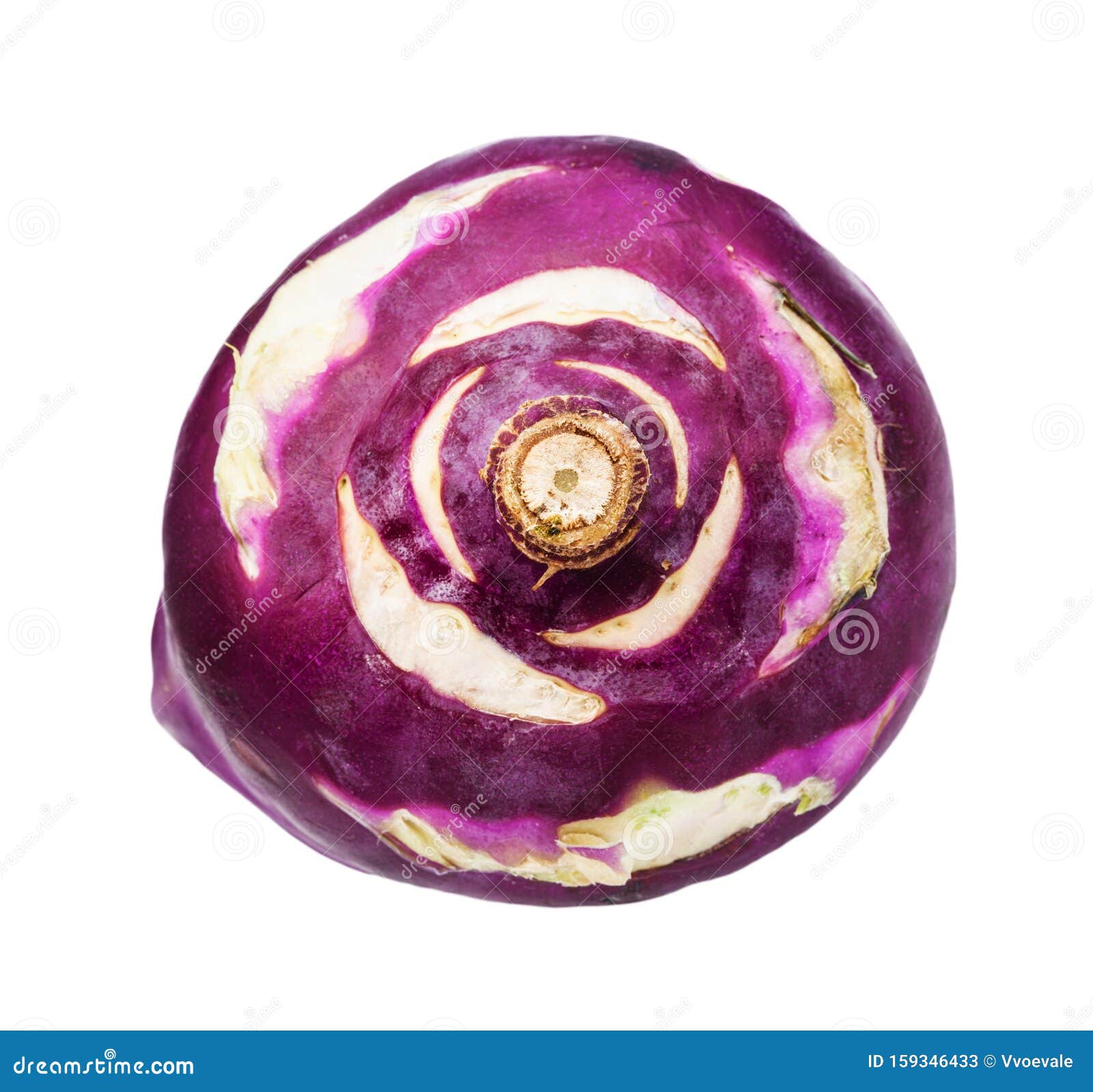 ripe taproot of purple kohlrabi cabbage 