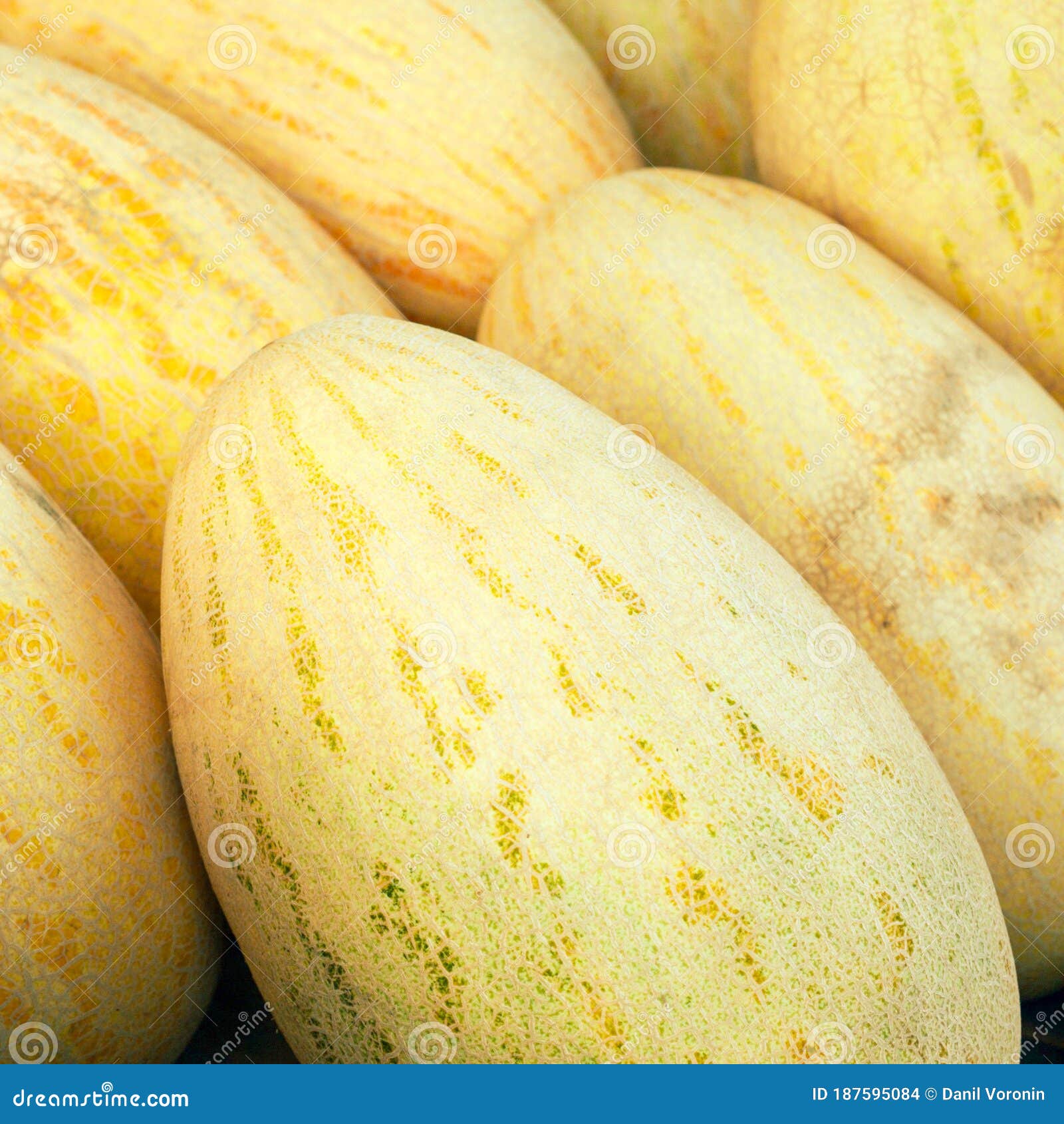 Ripe Tasty Melons for Fun. Healthy Eating Stock Photo Image of