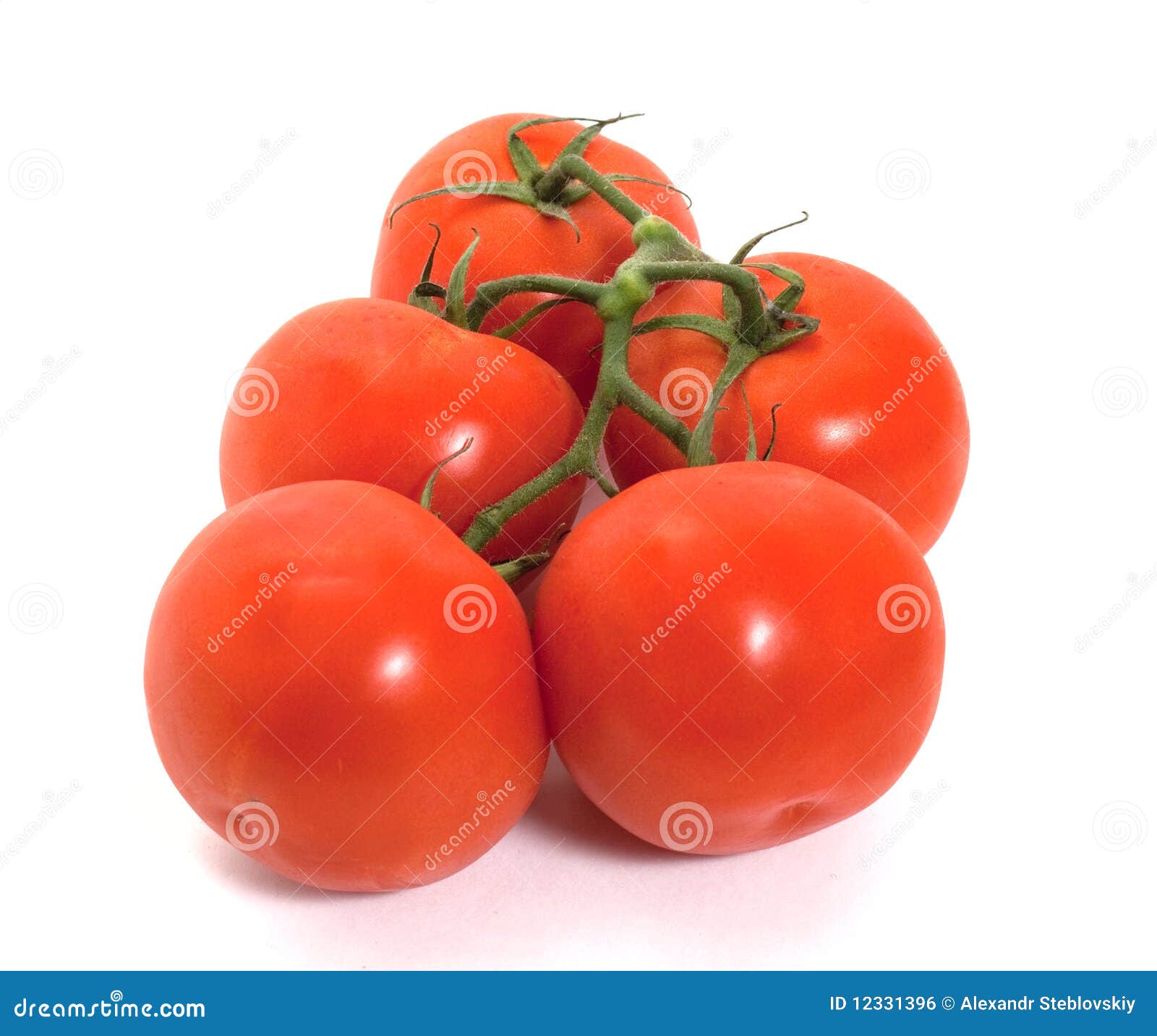 Ripe tomatoes stock photo. Image of food, stem, tomato 12331396