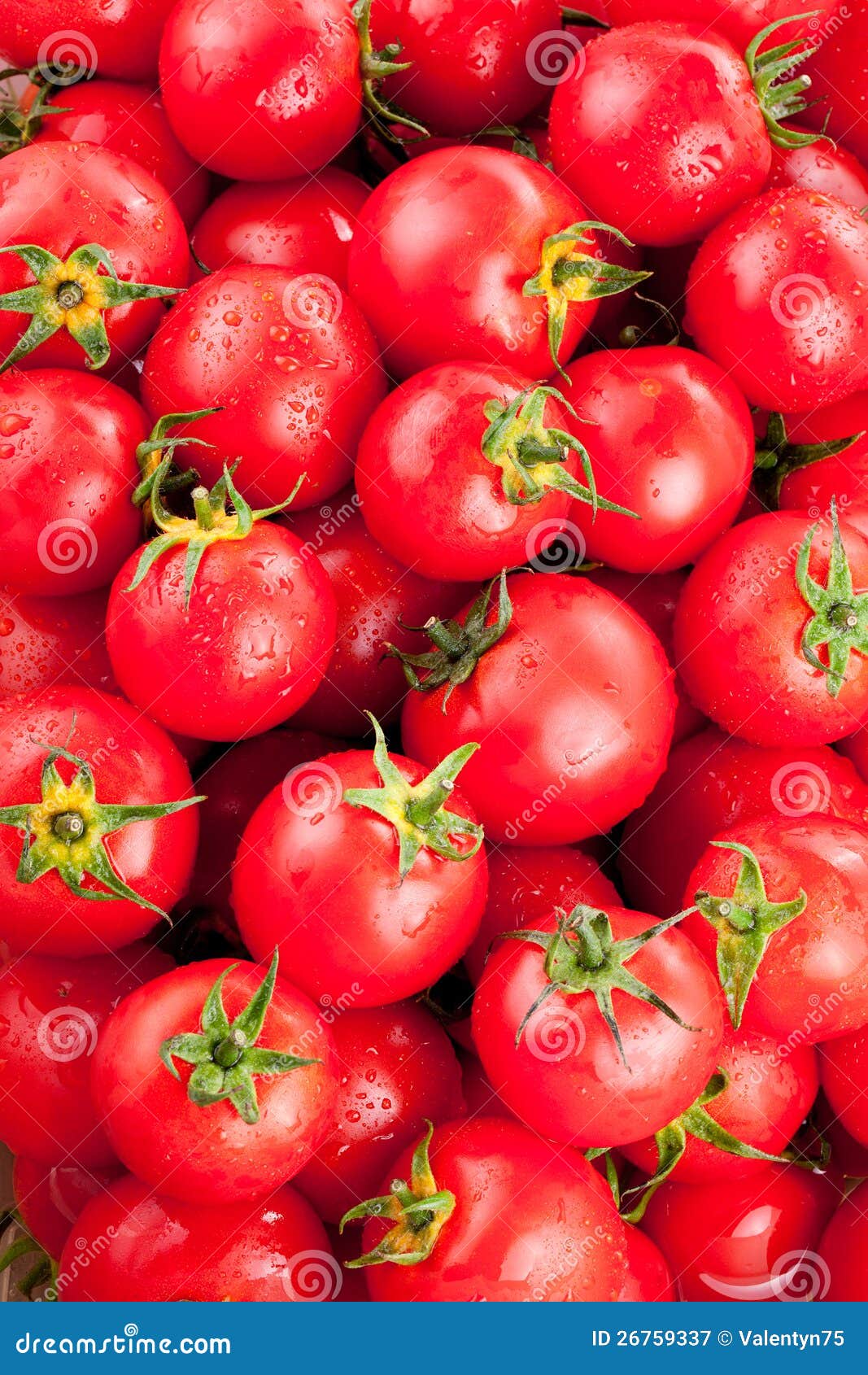 Ripe tomatoes stock image. Image of vegetable, healthy 26759337