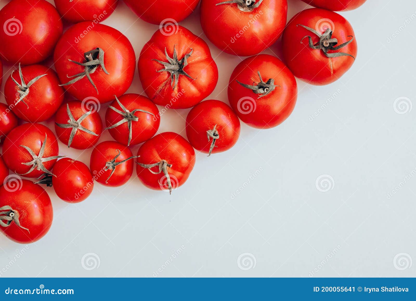 ripe tomatoes of different size pattern on white background with copy space