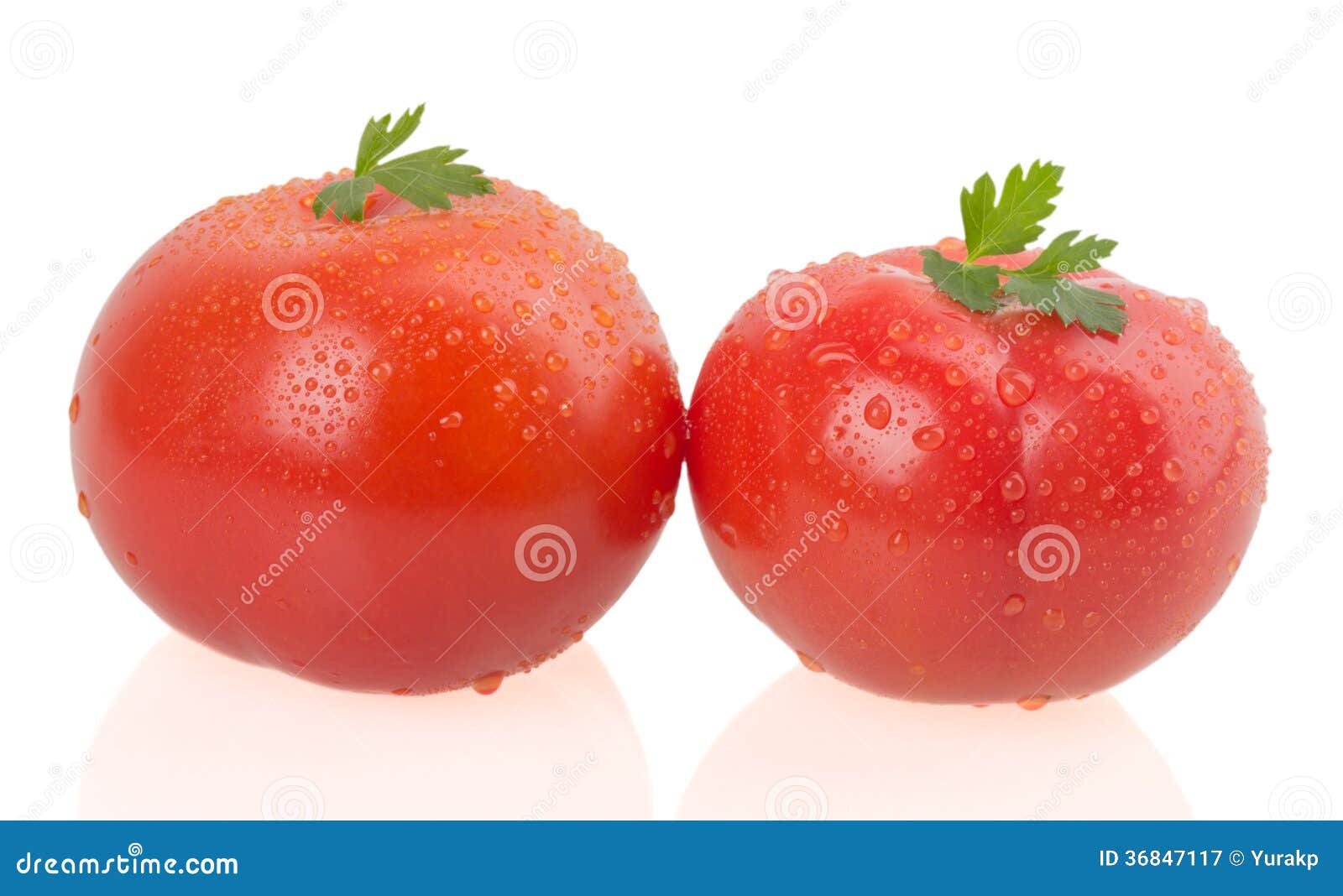 Ripe tomatoes stock image. Image of isolated, fruits 36847117