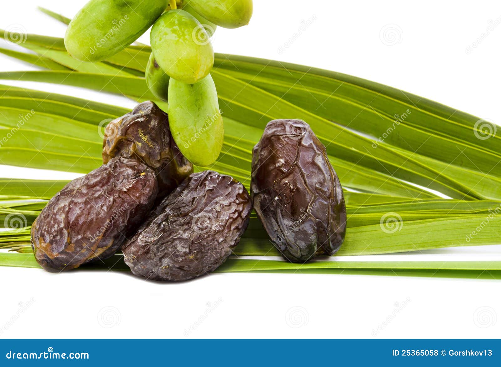 Ripe And Unripe Dates On The White Stock Photo Image of harvest, brown 25365058