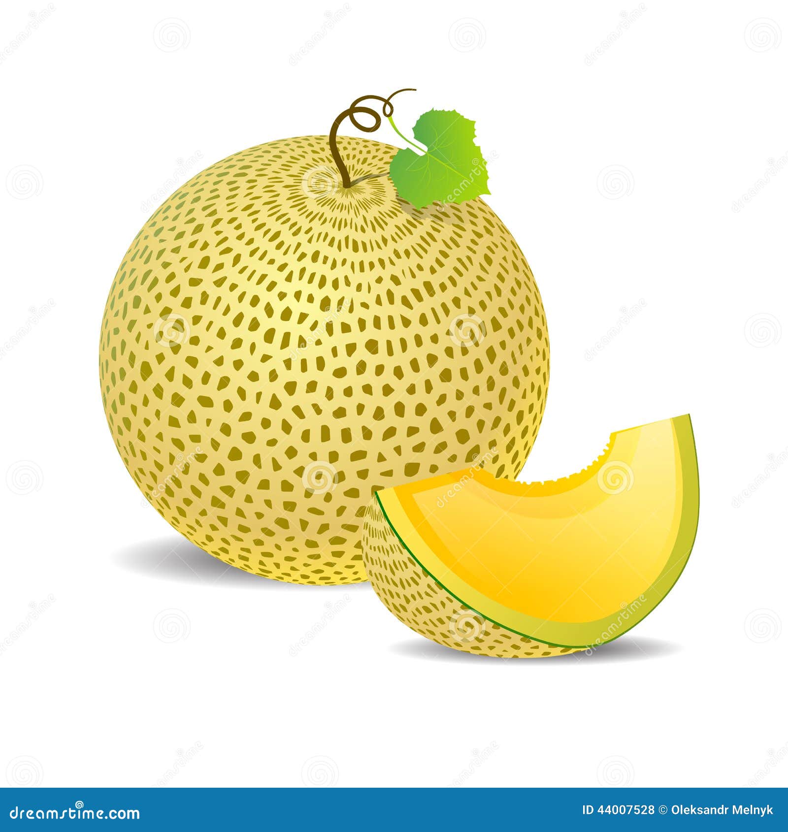 Ripe Yellow Melon and a Piece Just Stock Vector Illustration of