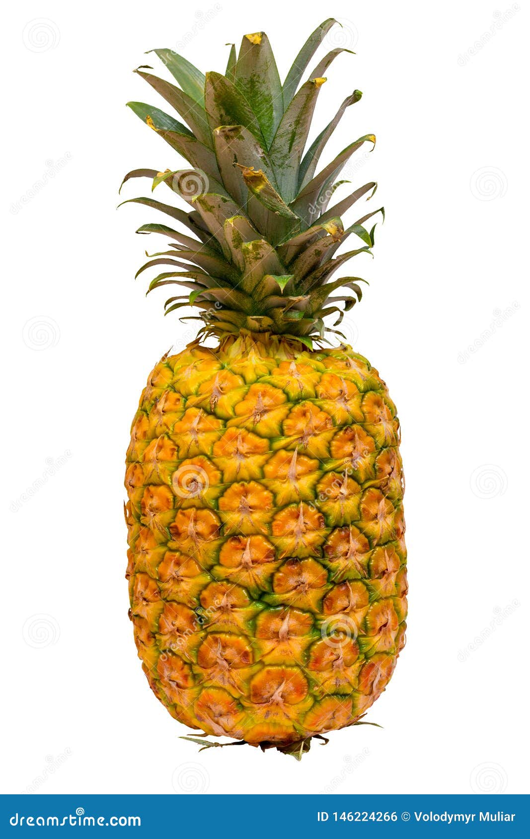 Ripe Yellow Pineapple on a White Isolated Background_ Stock Photo - Image of color, fresh: 146224266