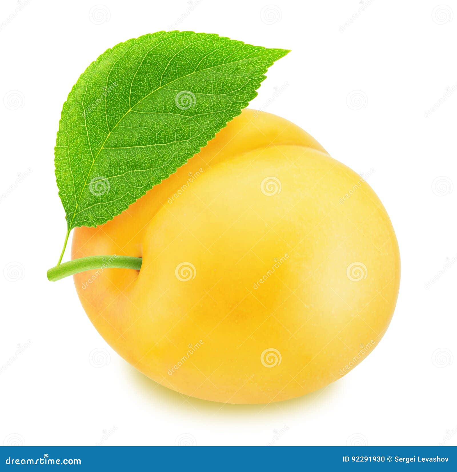 Ripe Yellow Plum with Green Leaf. with Clipping Path Stock Photo