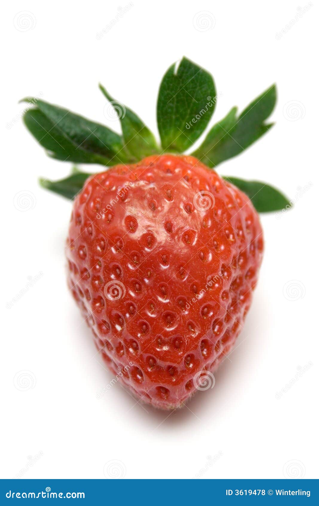 Ripened Strawberry stock photo. Image of fruits, delicious 3619478