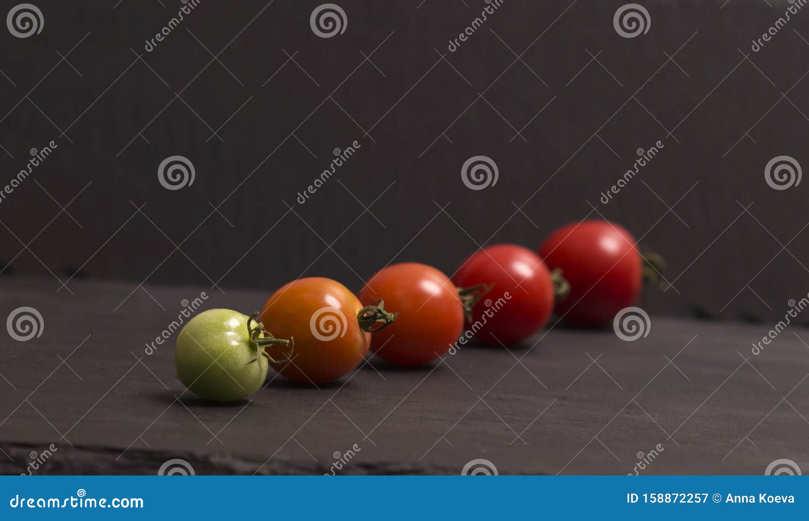 ripening stages of tomato