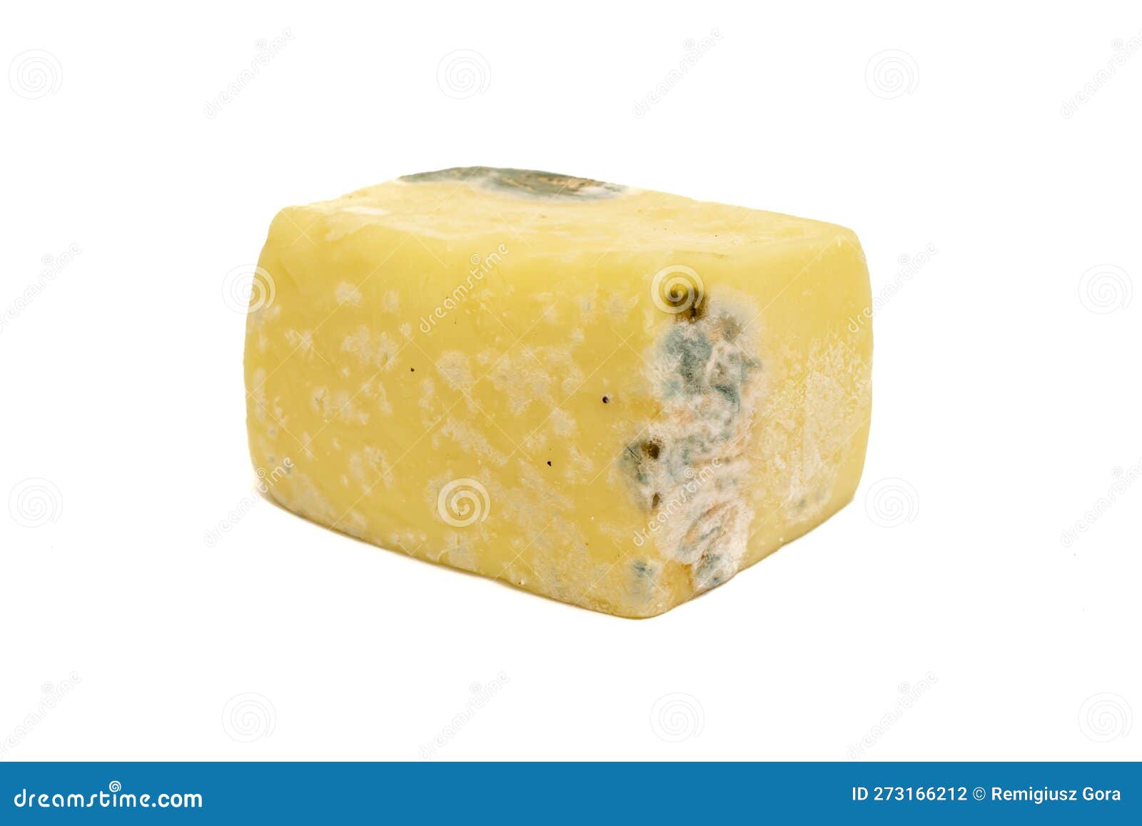 Ripening Yellow Cheese. Mold Covered Cheese, Spoiled Cheese Stock Photo