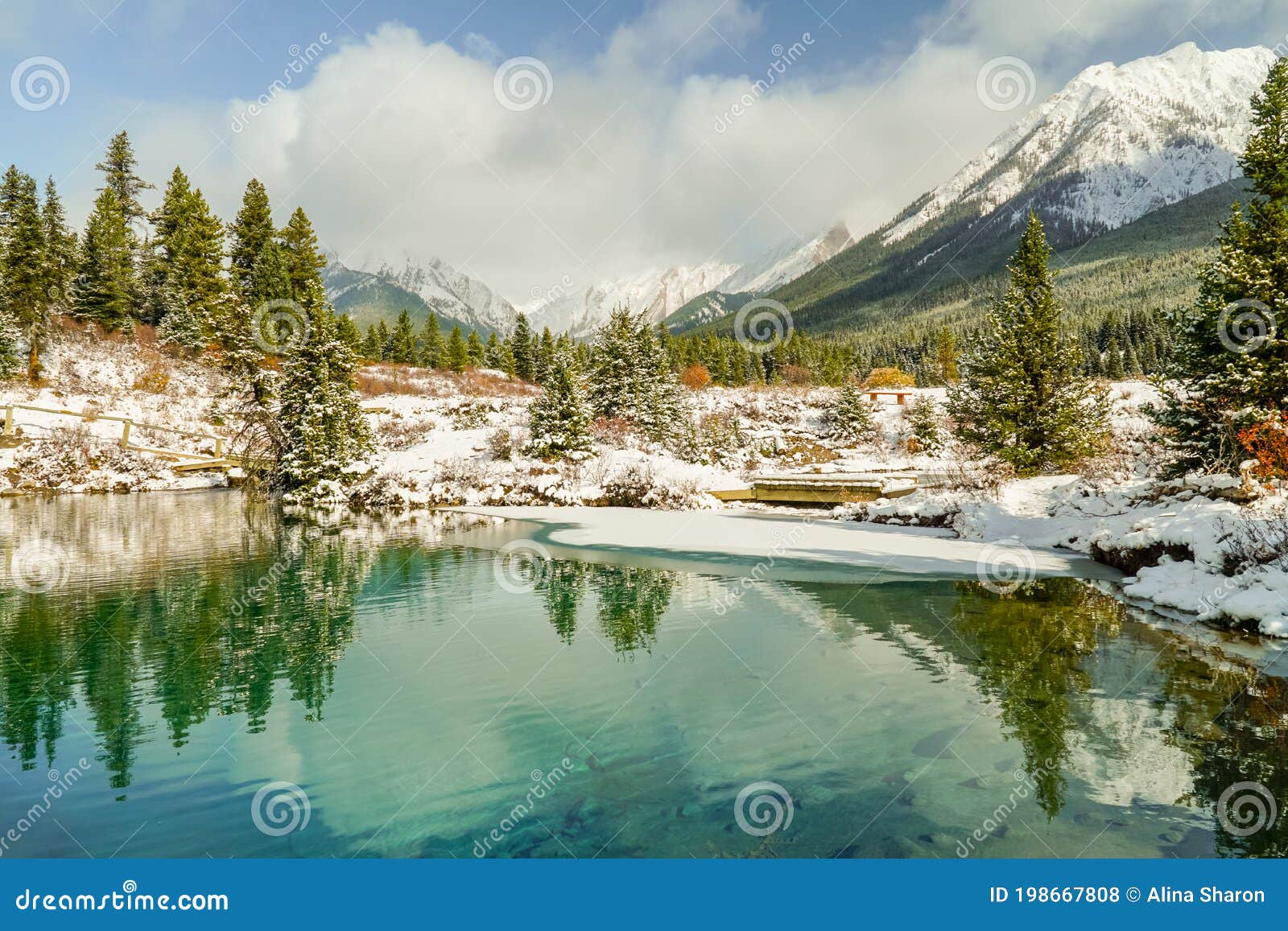 pond surrounded by snow covered pine trees with mountains in the backgrouond