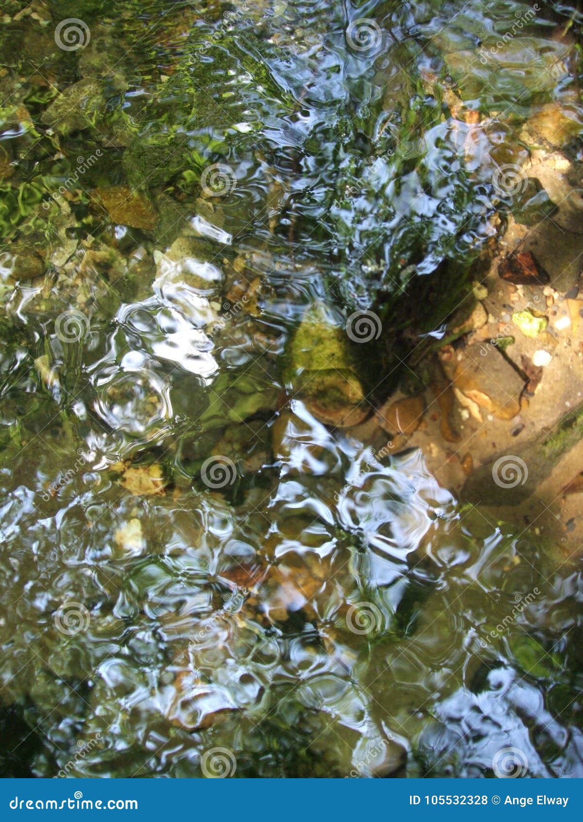 Ripples on the Surface of the Water, the Forest Stream. Stock Photo ...