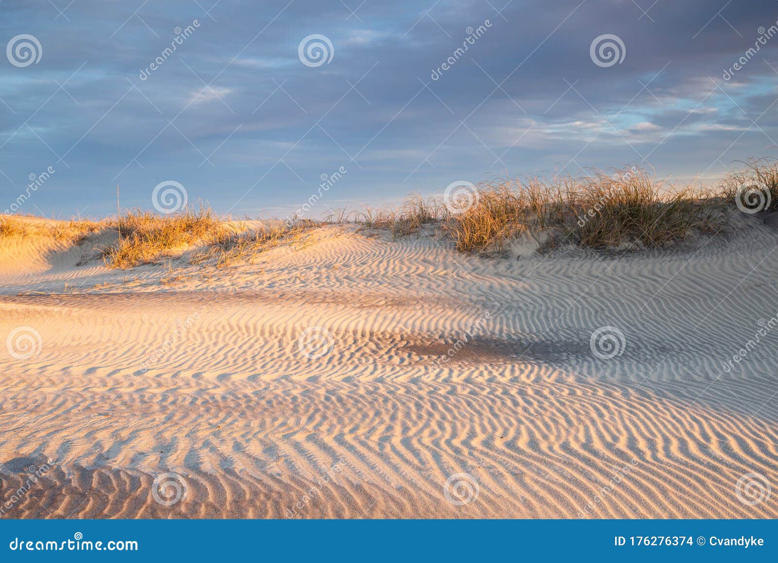 ripples of sand at pea island outer banks north carolina
