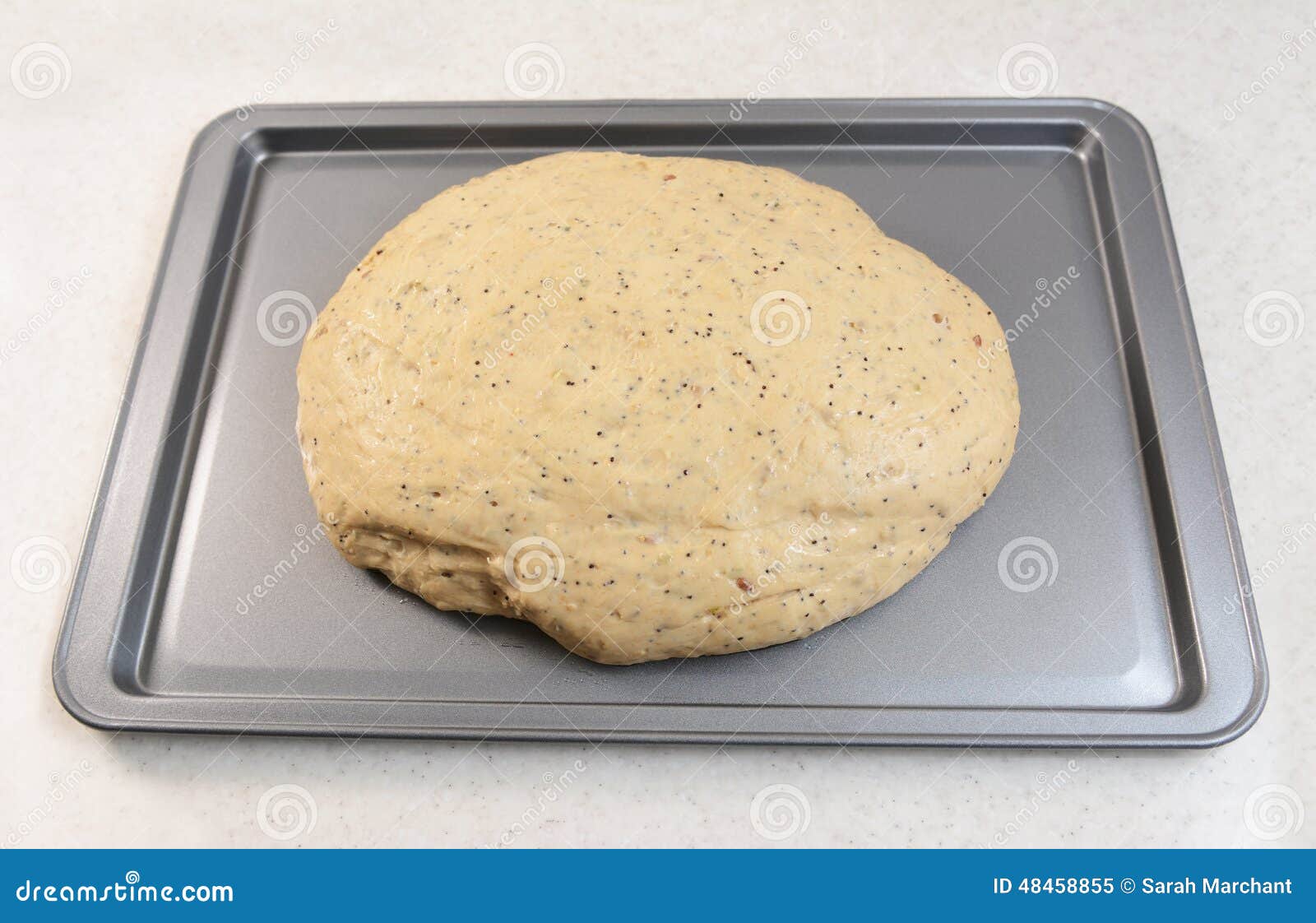 Risen Bread Dough on a Baking Tray Stock Image Image of sheet, bread