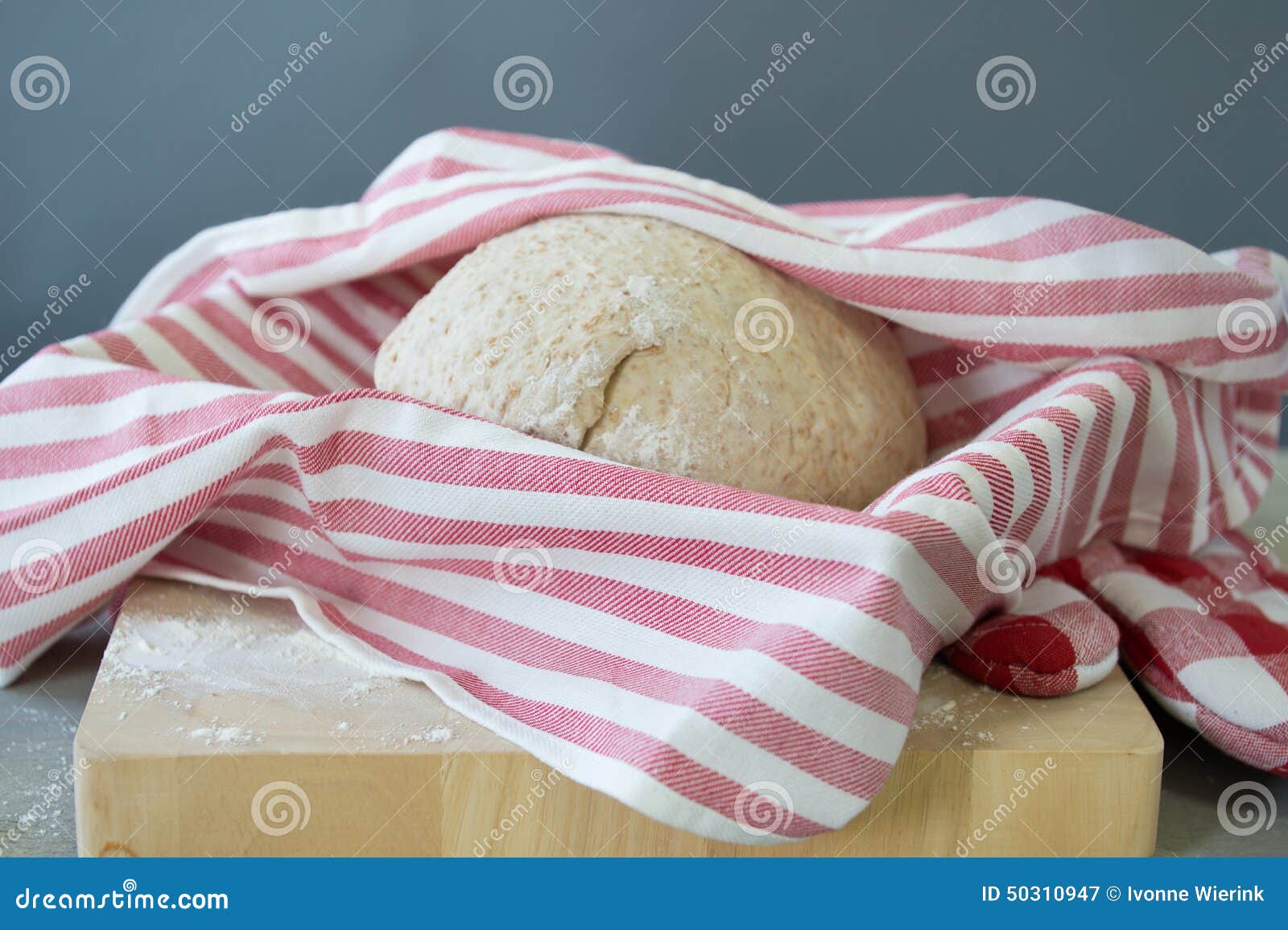 Rising bread dough stock image. Image of rising, grain 50310947