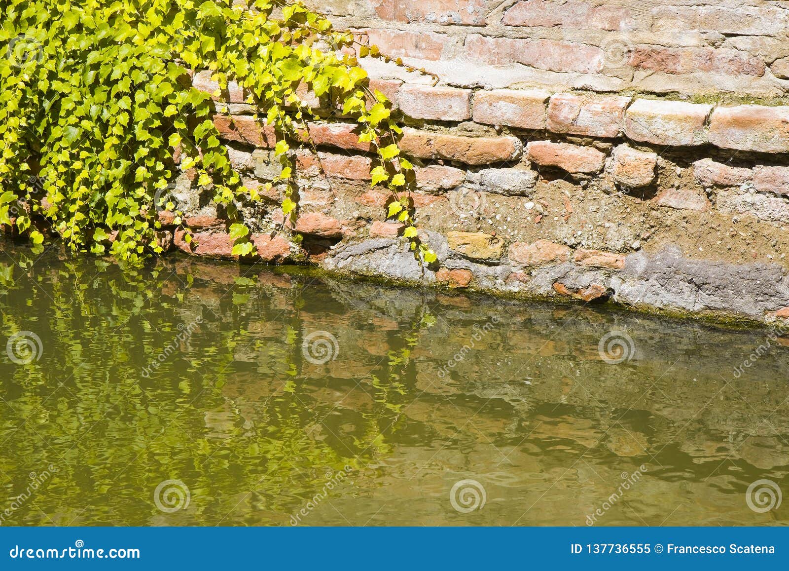 Rising Damp on a Brick Wall in a Channel Full of Water Stock Image