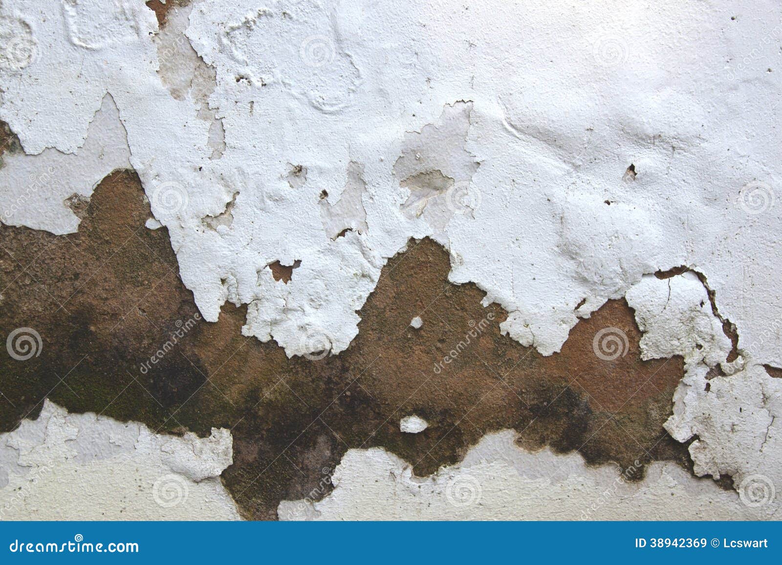 rising damp and peeling paint on exterior wall