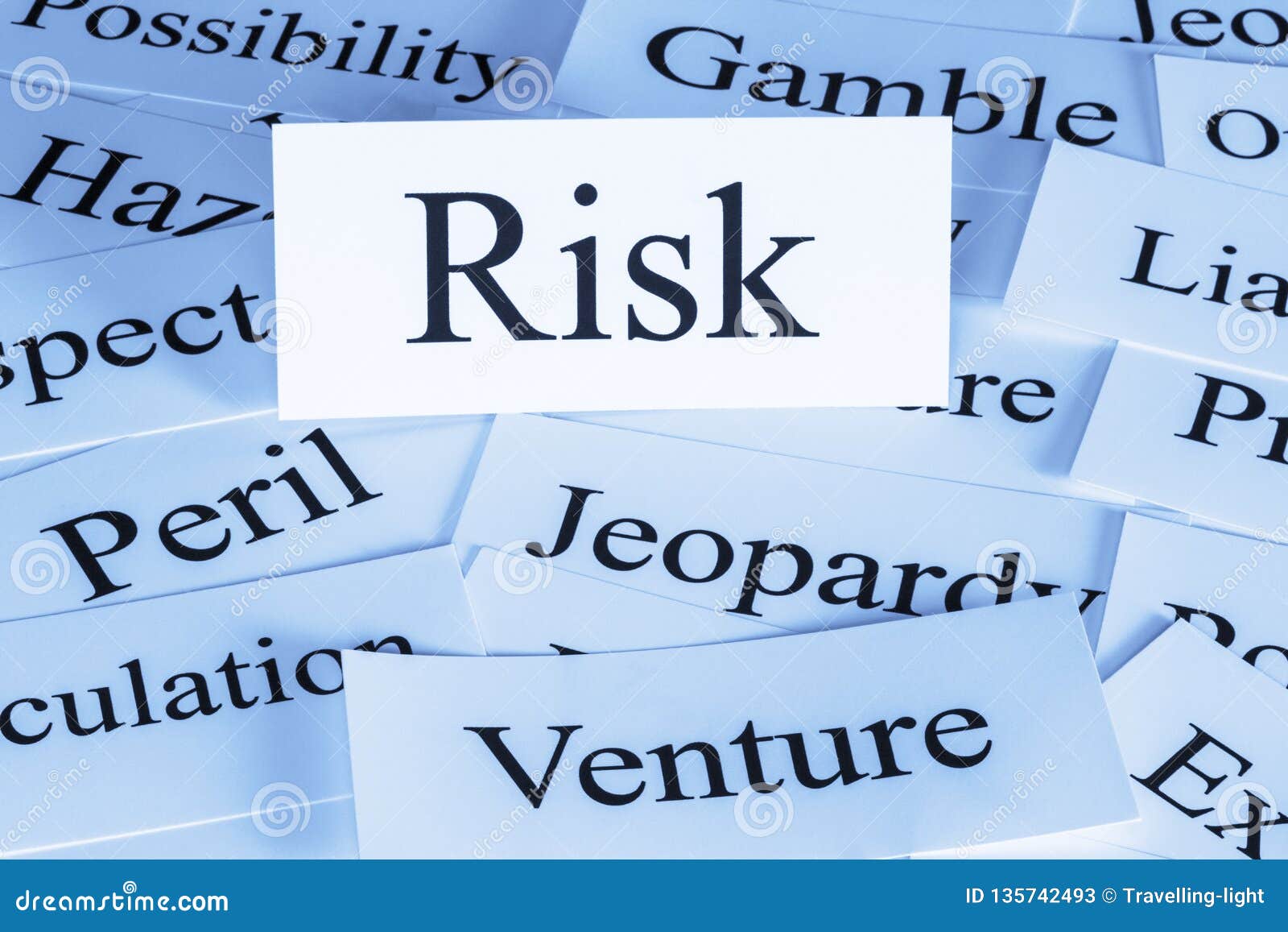 risk concept in words