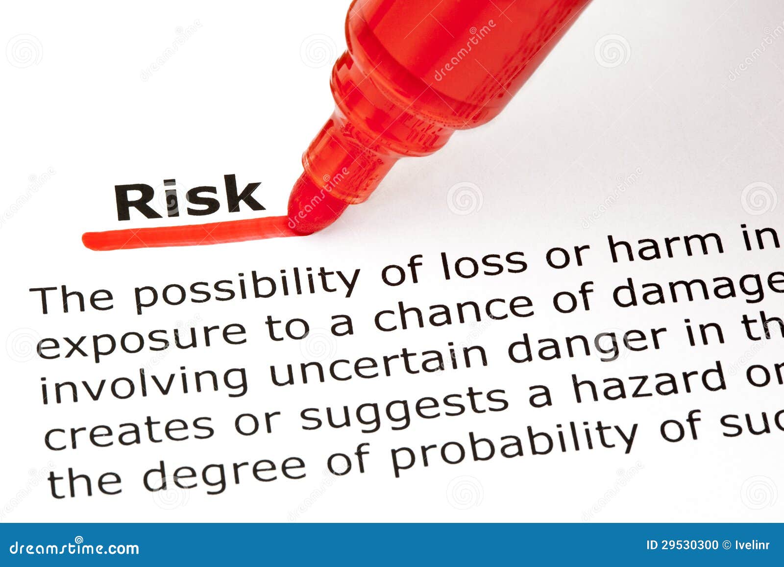 risk definition