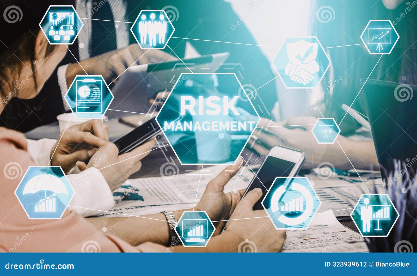 risk management and assessment for business uds