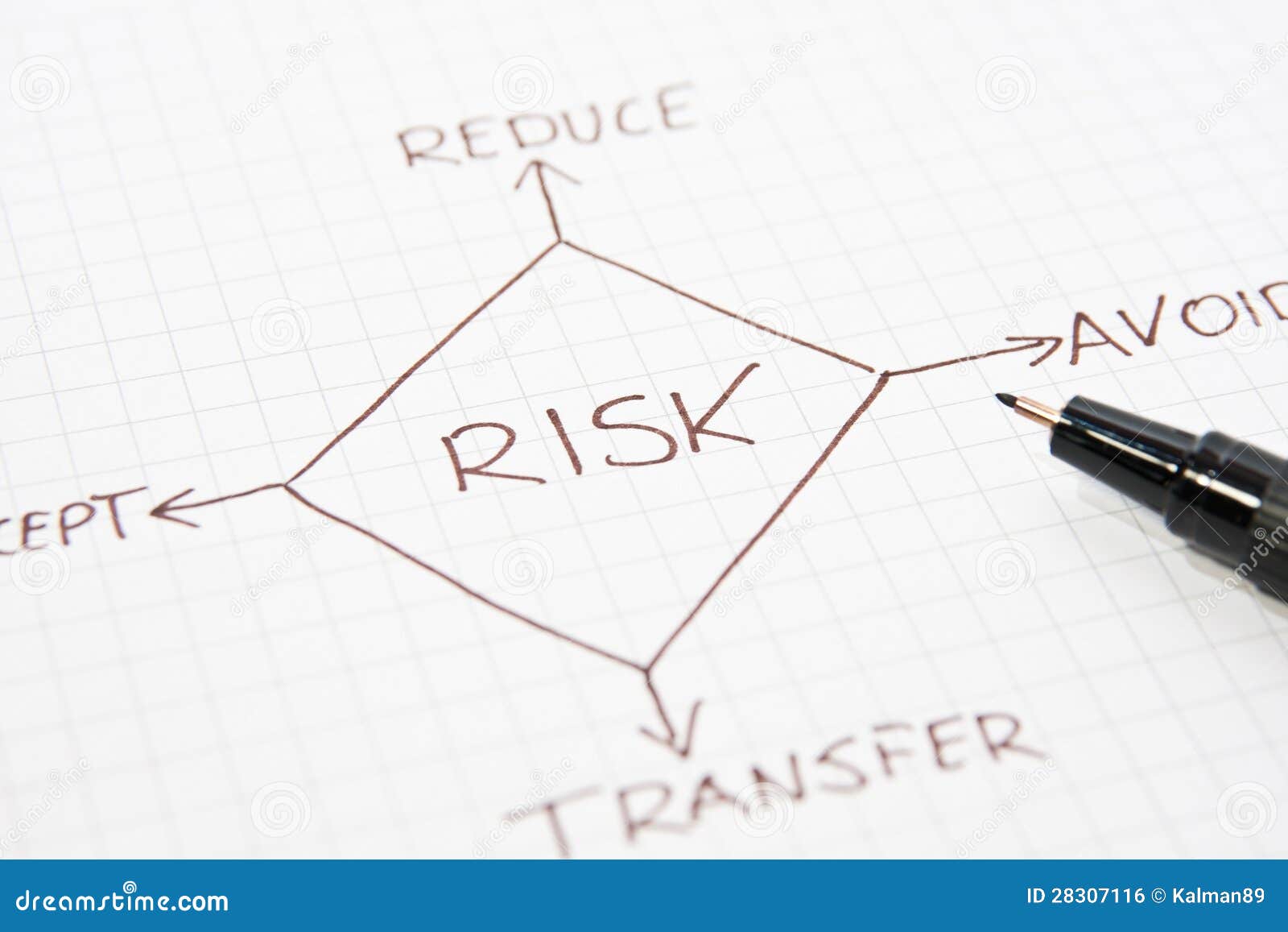 risk management diagram