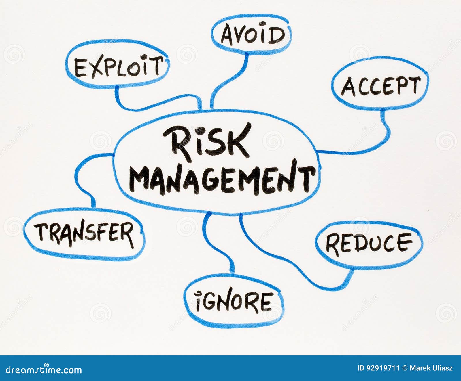 Risk Management Mind Map Sketch Stock Image - Image of diagram, exploit