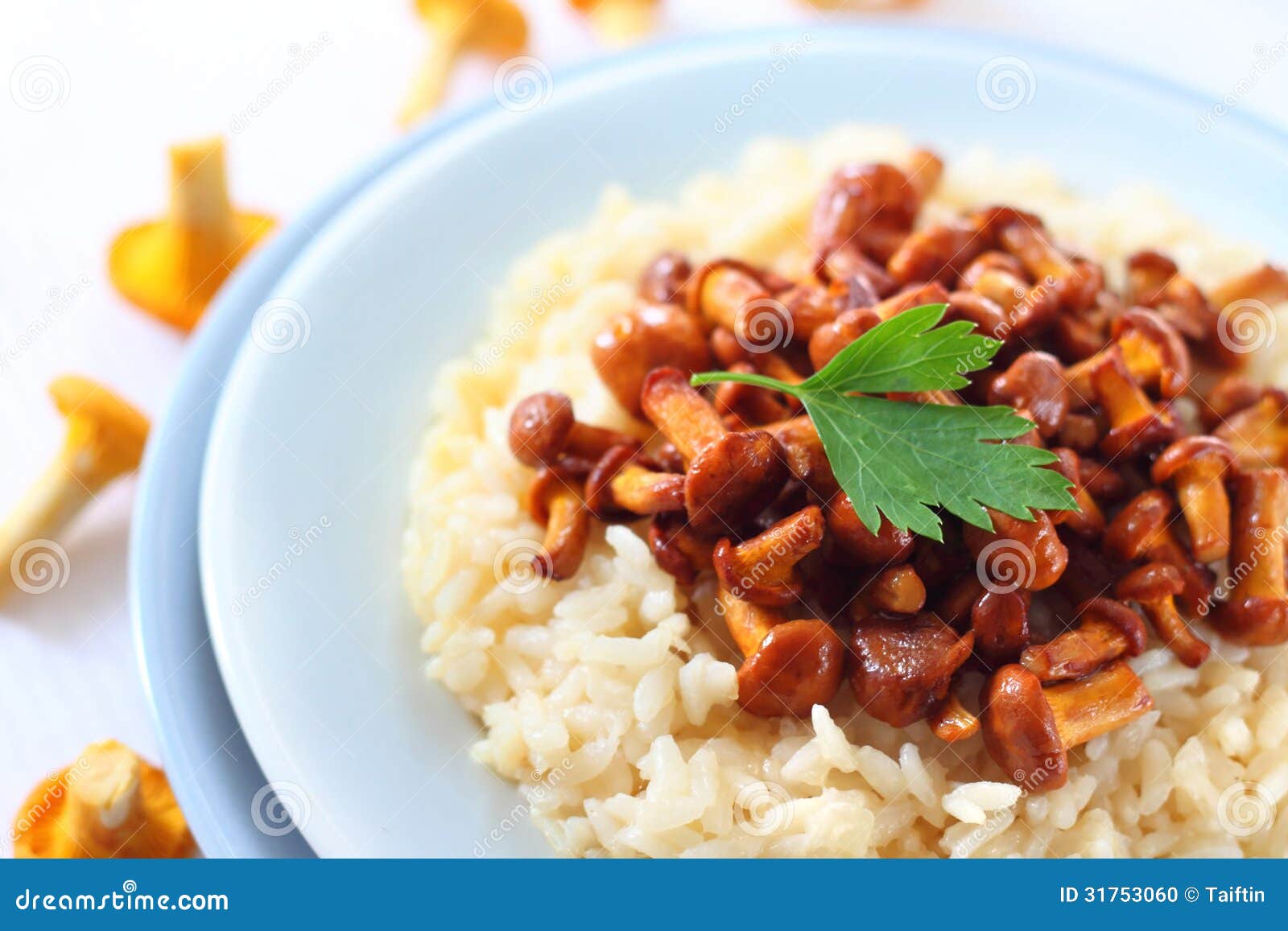 Risotto with chanterelles stock photo. Image of italian 31753060